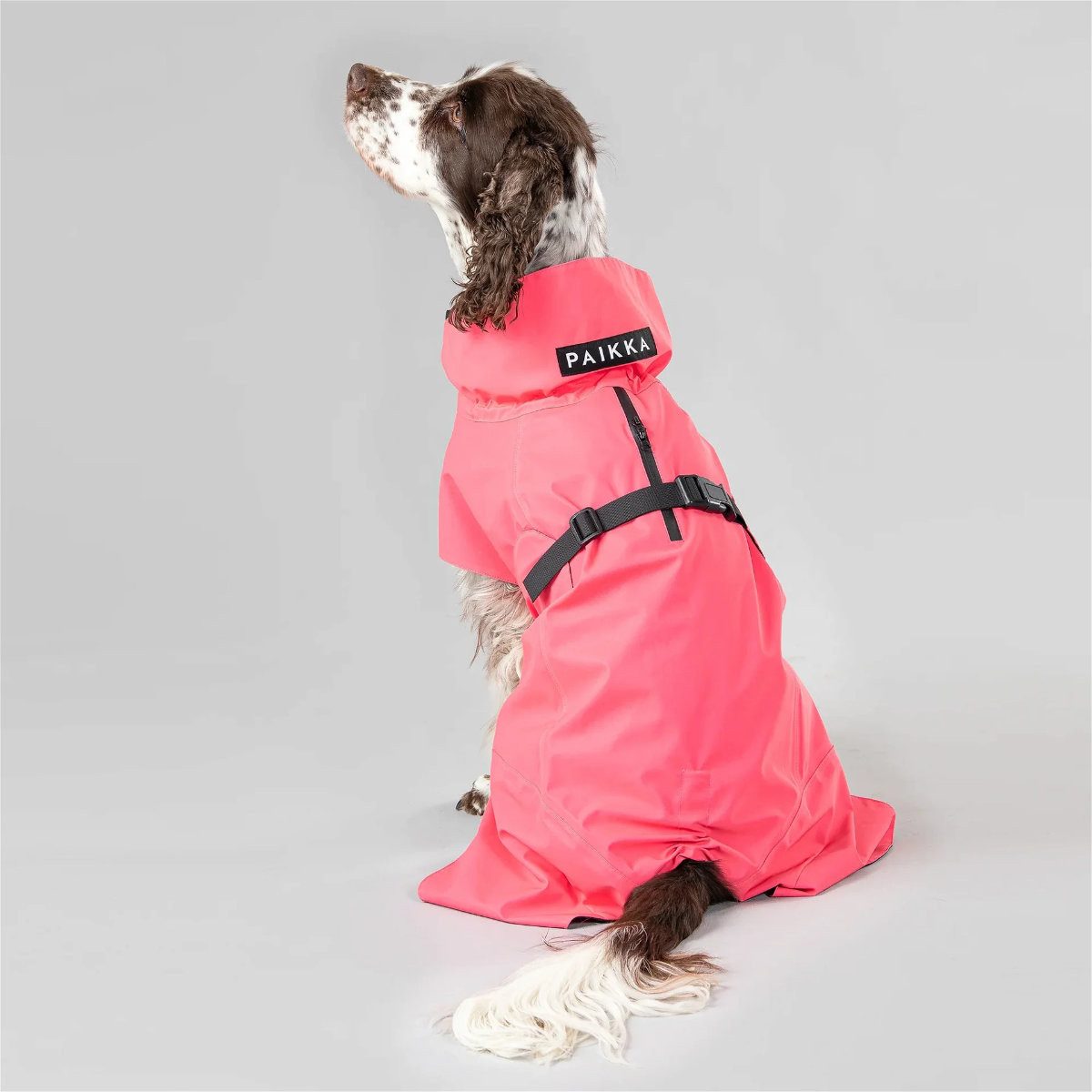 PAIKKA Hunderegenmantel Hunde Regenmantel leicht & reflektierend "Visibility Raincoat Lite" pi
