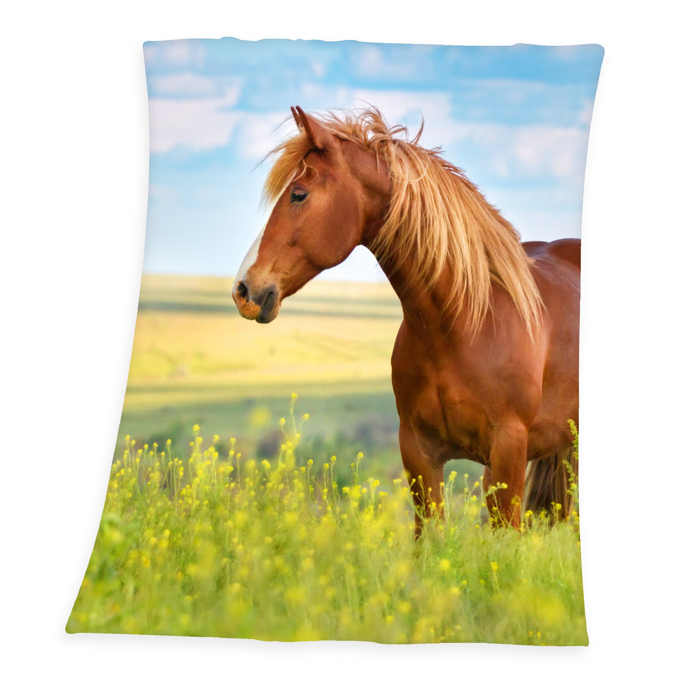 Brilliant Badetuch / Pferde / 75x150cm / 100% Baumwolle, 100% Baumwolle