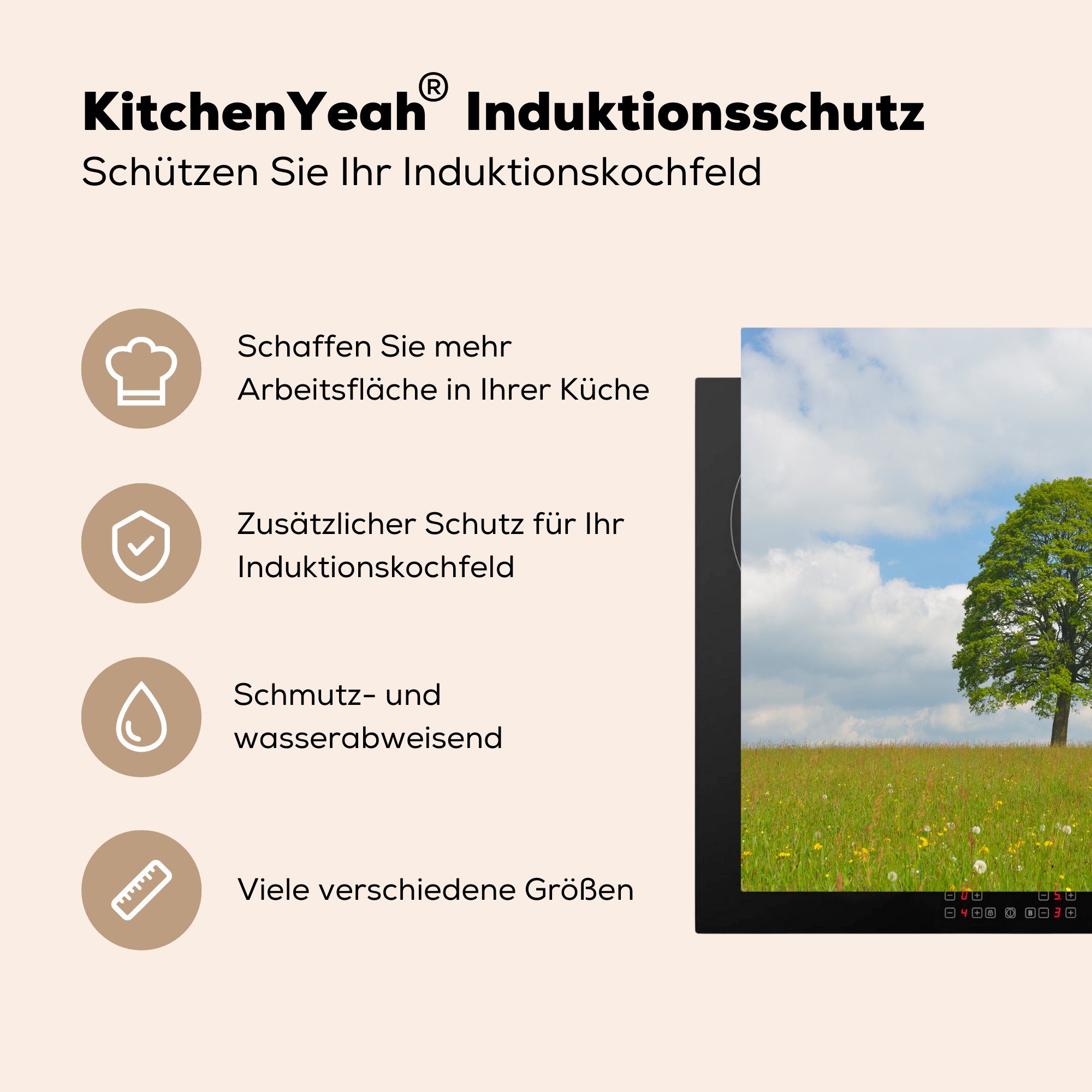 MuchoWow Herdblende-/Abdeckplatte Ein Frühling, Ahornbaum Vinyl, die in küche, Deutschland 59x52 im cm, für tlg), Ceranfeldabdeckung (1 Induktionsmatte