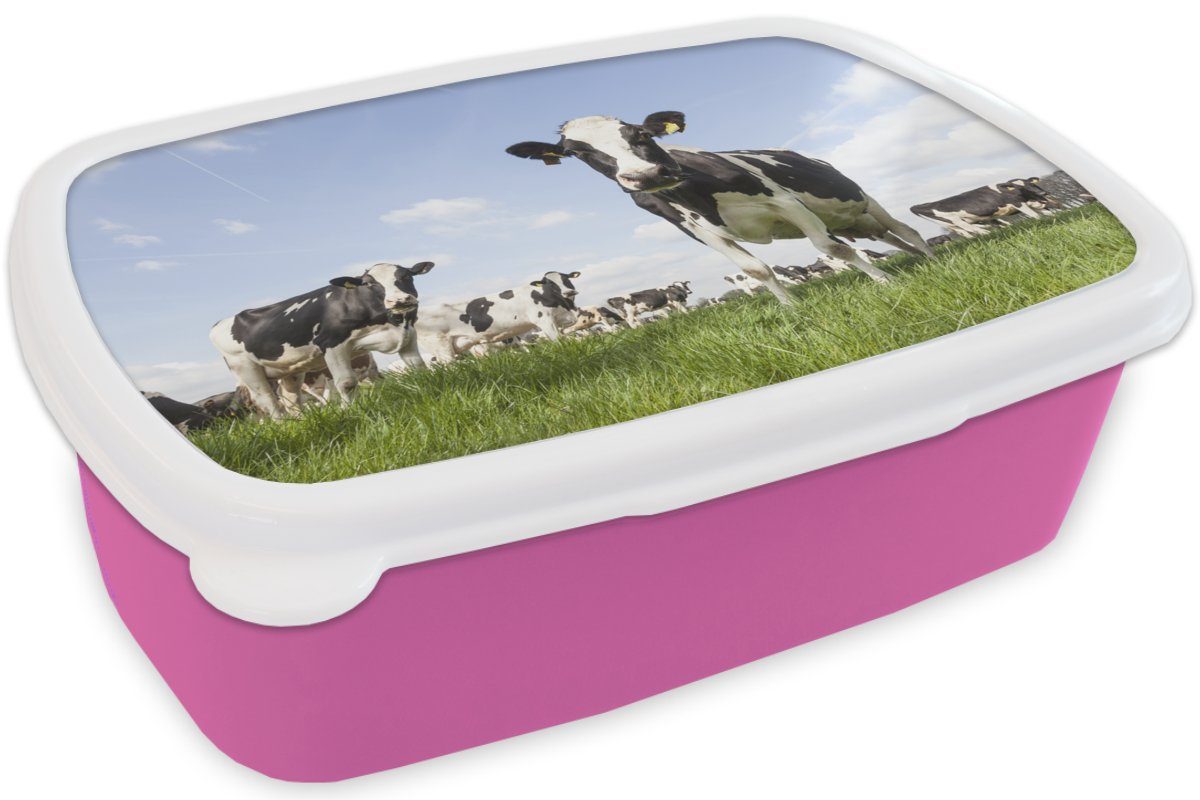 für Gras - Kühe Snackbox, - Lunchbox rosa Brotdose Mädchen, Brotbox - Sonne Erwachsene, Kunststoff (2-tlg), - Kinder, Kunststoff, Bauernhof, Tiere MuchoWow