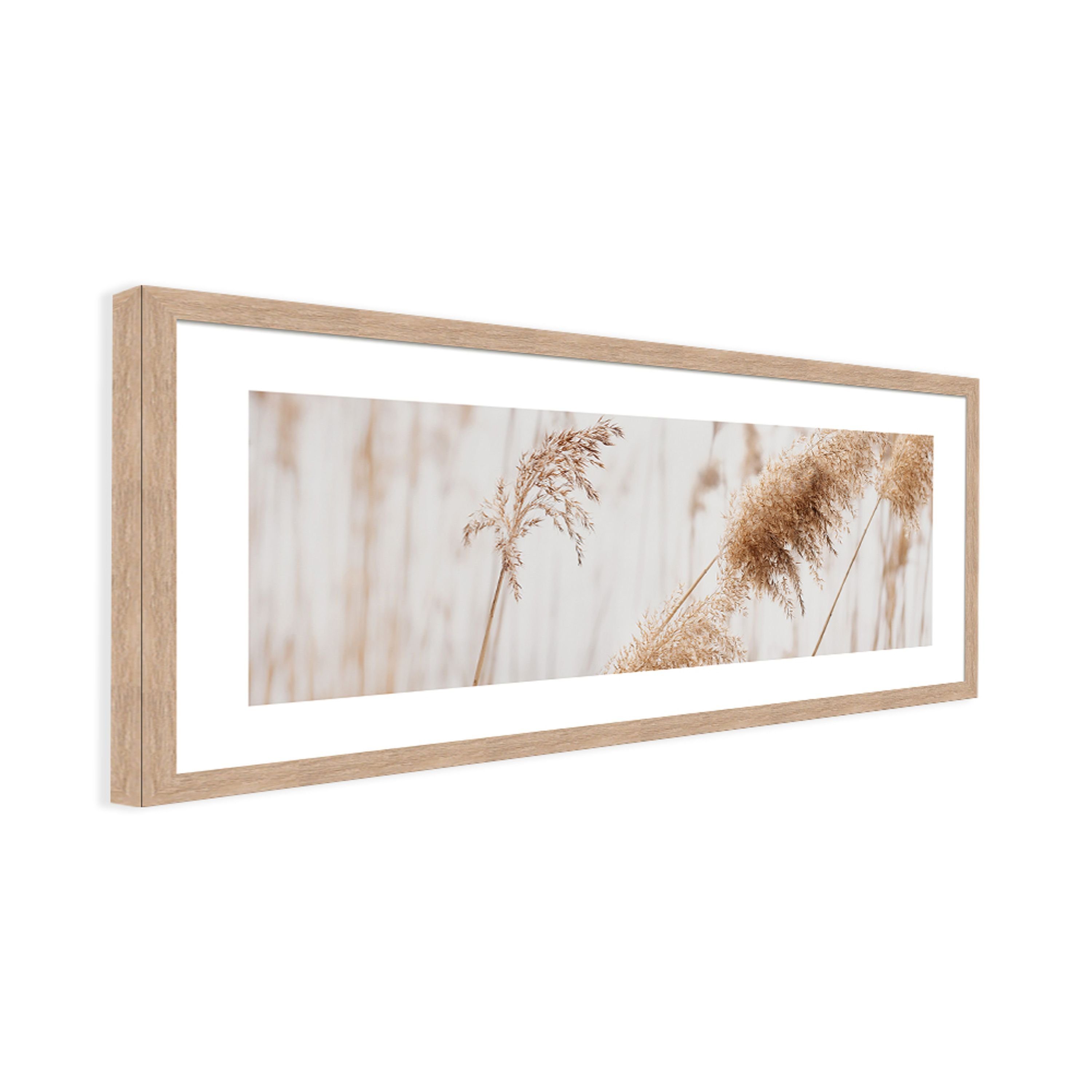 länglich 71x30cm gerahmt Bild Gräser: mit Pampas-Gras beige Rahmen mit Rahmen weiß, artissimo Design-Poster Bild