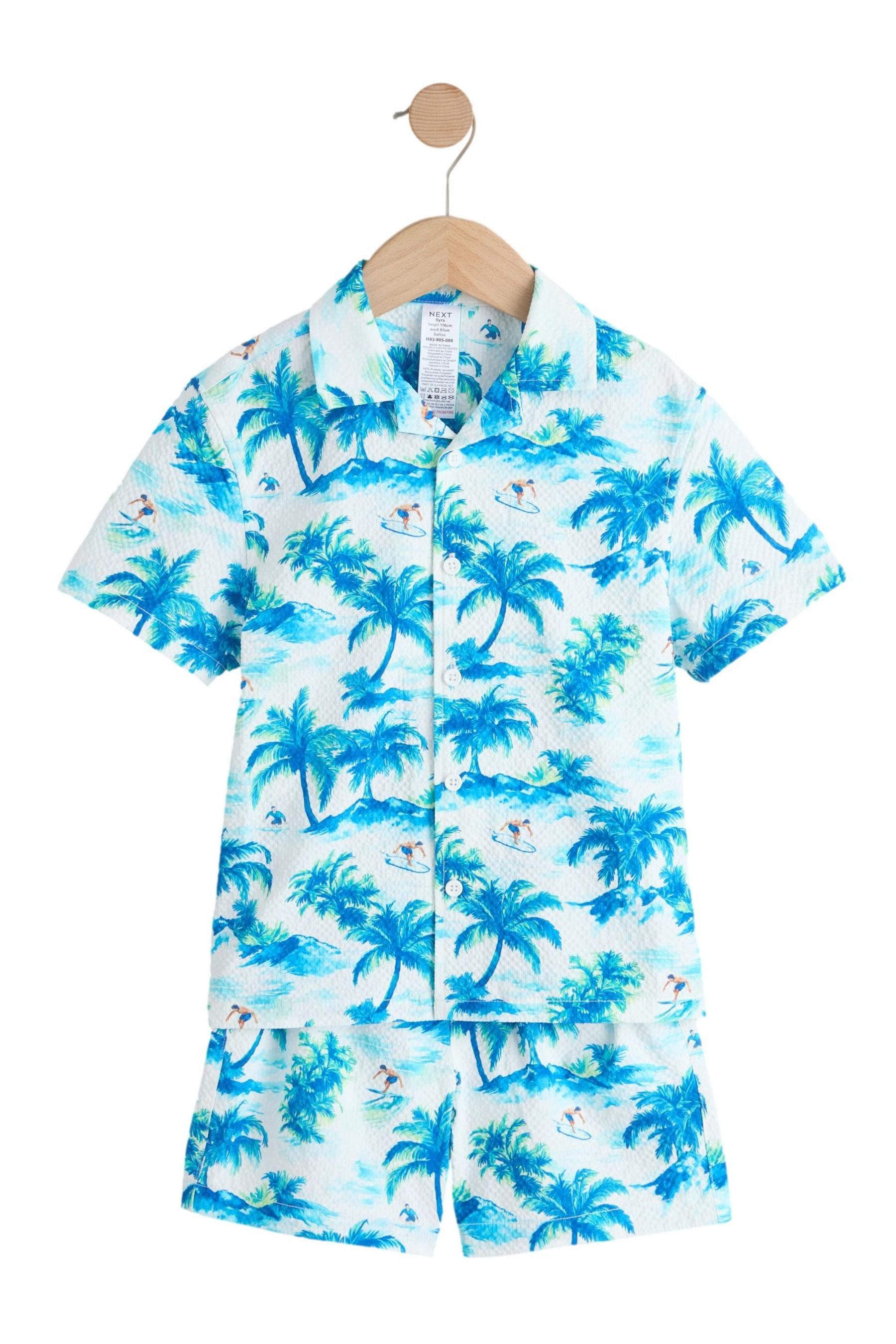 Light Blue Palm