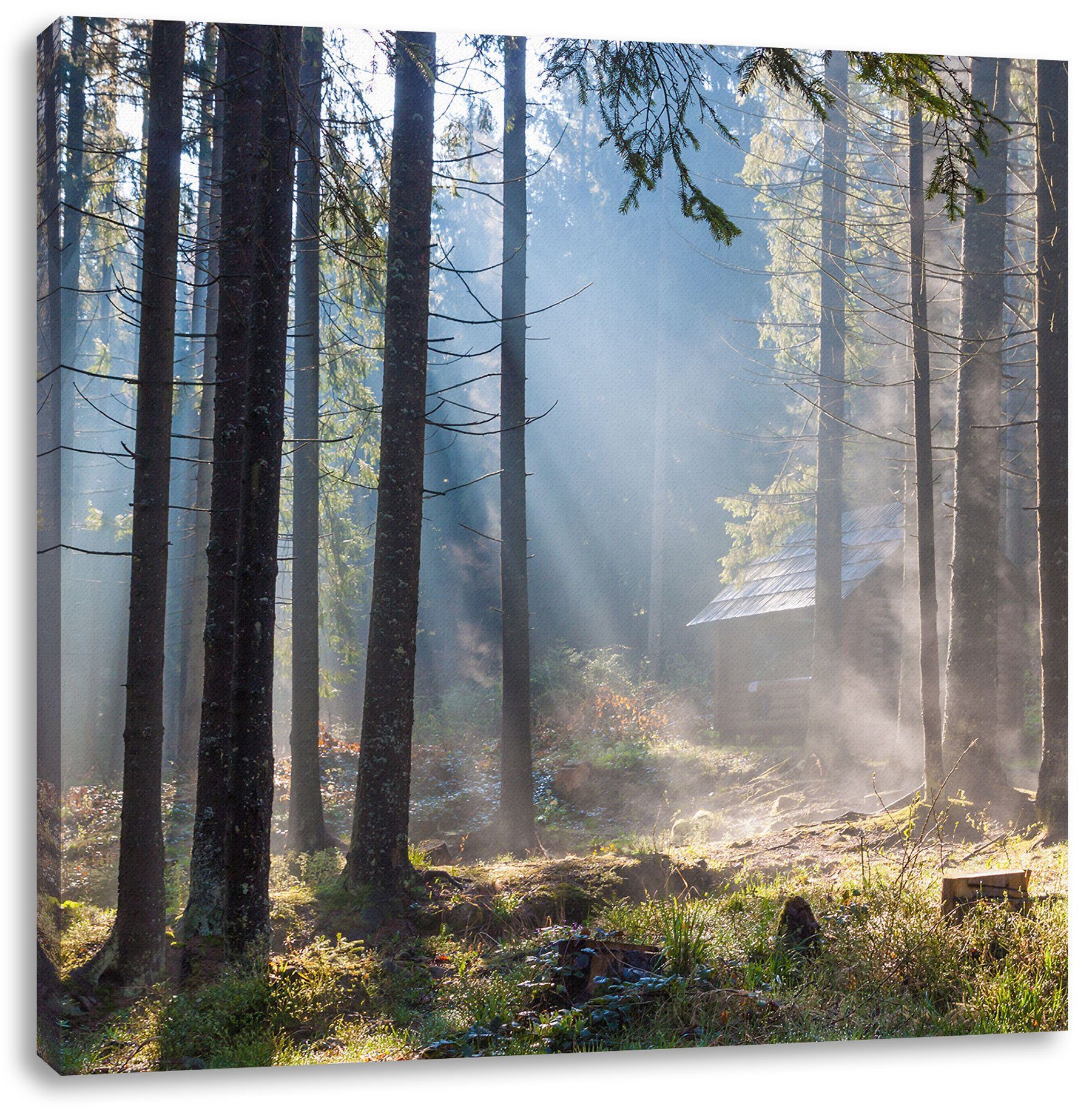 Pixxprint Leinwandbild Sonnenstrahlen im Wald, Sonnenstrahlen im Wald (1 St), Leinwandbild fertig bespannt, inkl. Zackenaufhänger