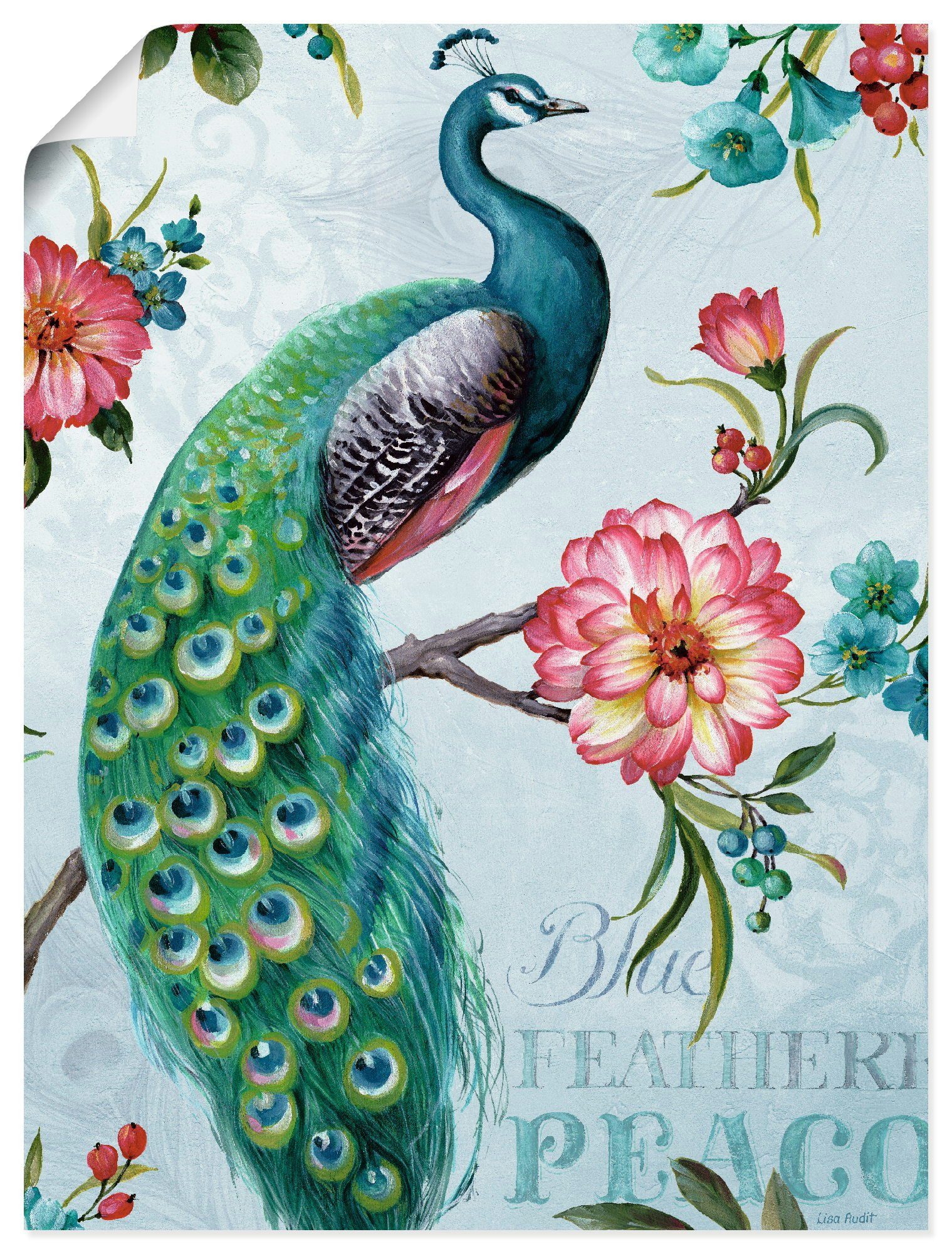 Artland Wandbild Blau gepfederter Pfau, Größen Leinwandbild, St), Vögel oder Wandaufkleber versch. als in Poster (1