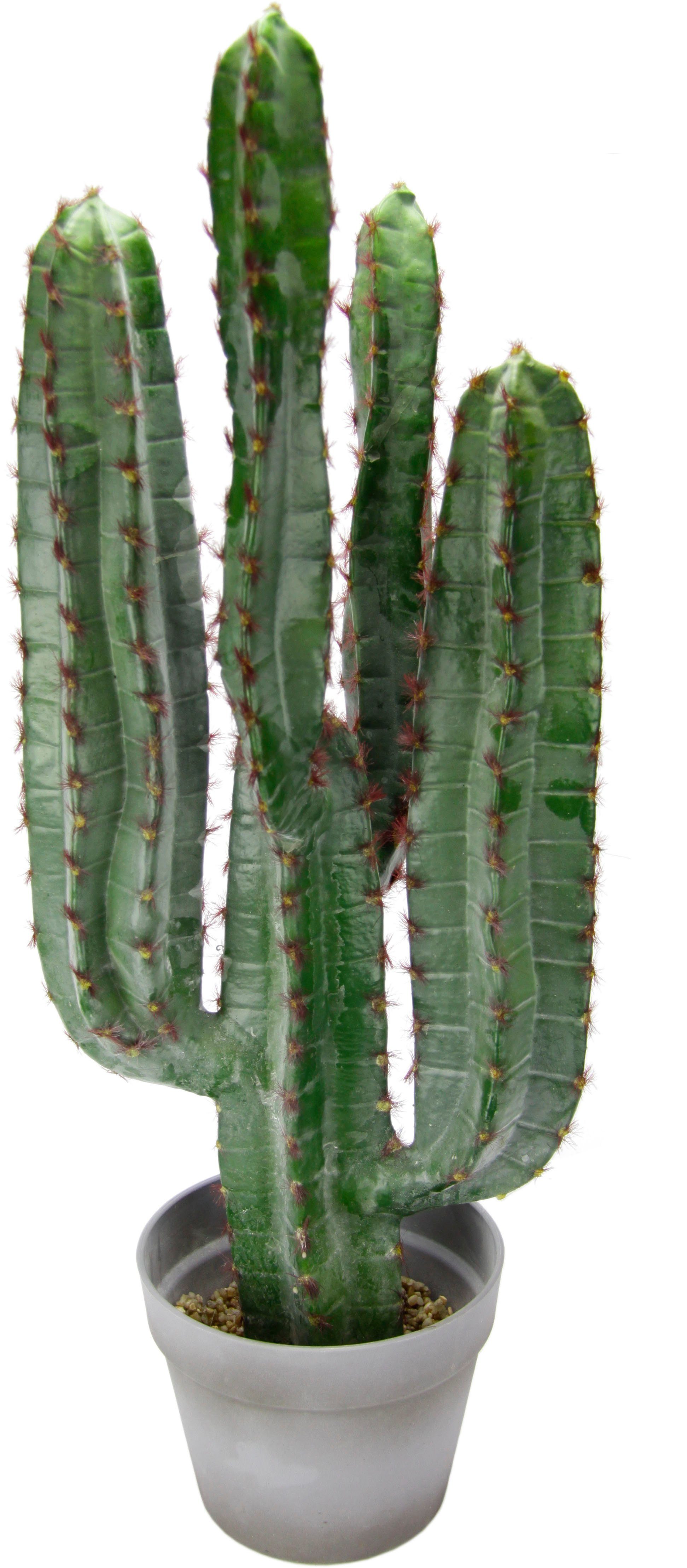 Säulenkaktus 36cm im Topf JA Kunstpflanzen künstliche Kakteen