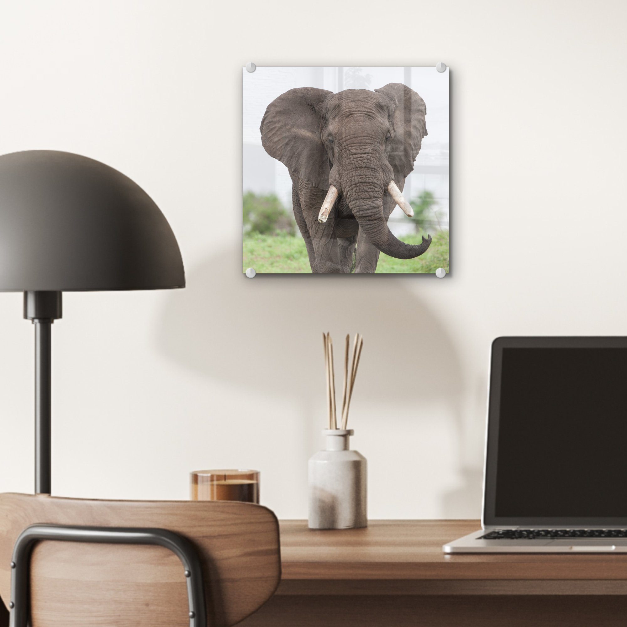 Tiere Glas Glasbilder Elefant MuchoWow Acrylglasbild (1 auf - St), Gras - - Wandbild Wanddekoration Bilder - Glas auf Natur, - Foto -