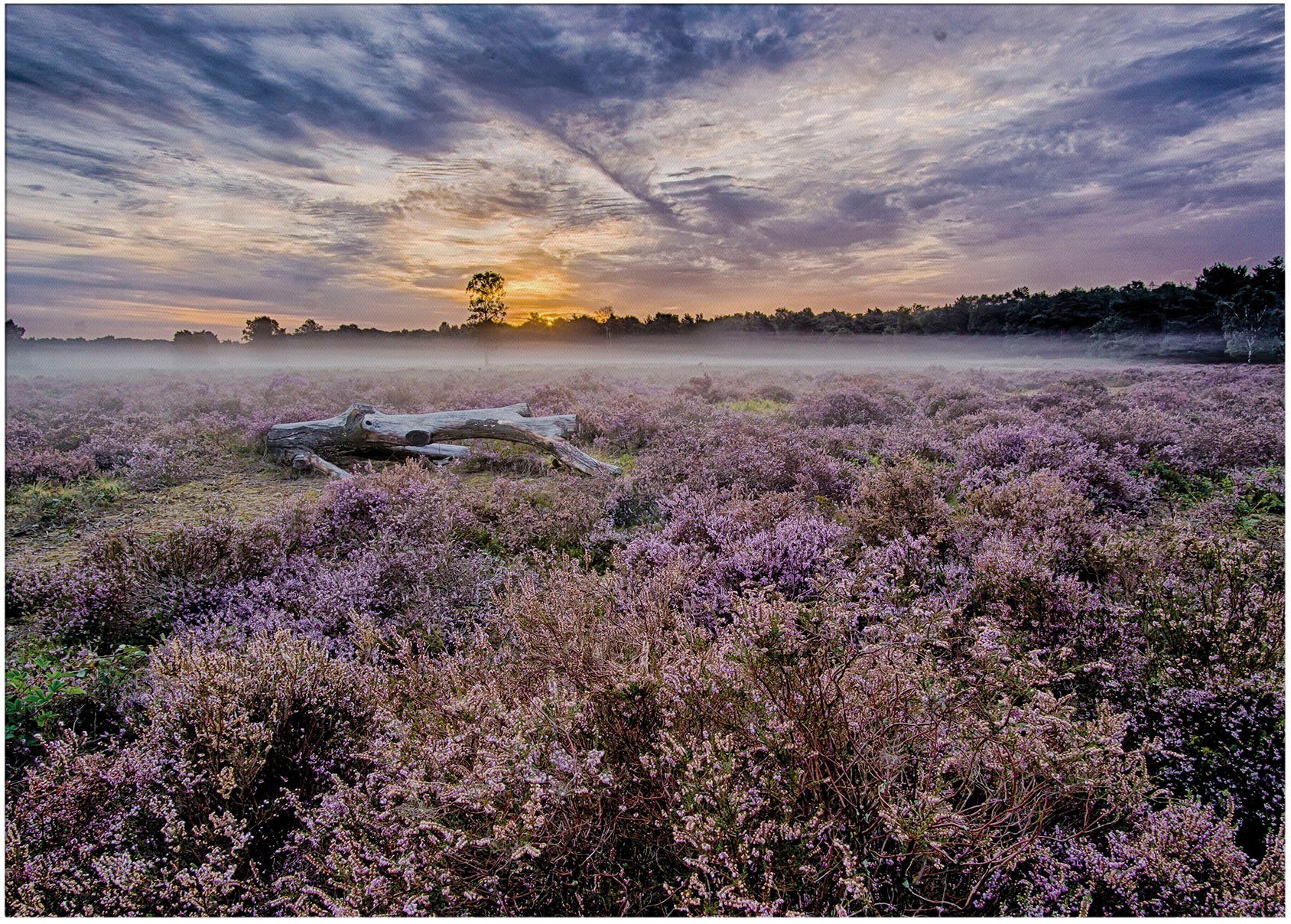 Art for the home Leinwandbild Outdoor Lavendel 50x70cm, (1 St) | Leinwandbilder