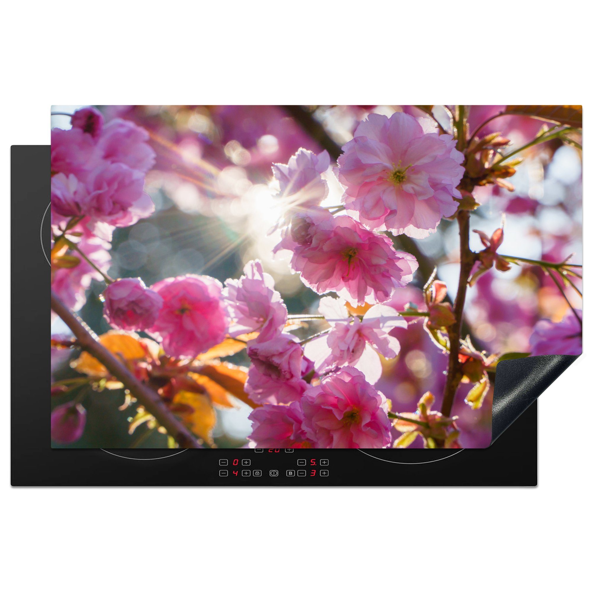 MuchoWow Herdblende-/Abdeckplatte Sakura - Sonne - Frühling, Vinyl, (1 tlg), 81x52 cm, Induktionskochfeld Schutz für die küche, Ceranfeldabdeckung