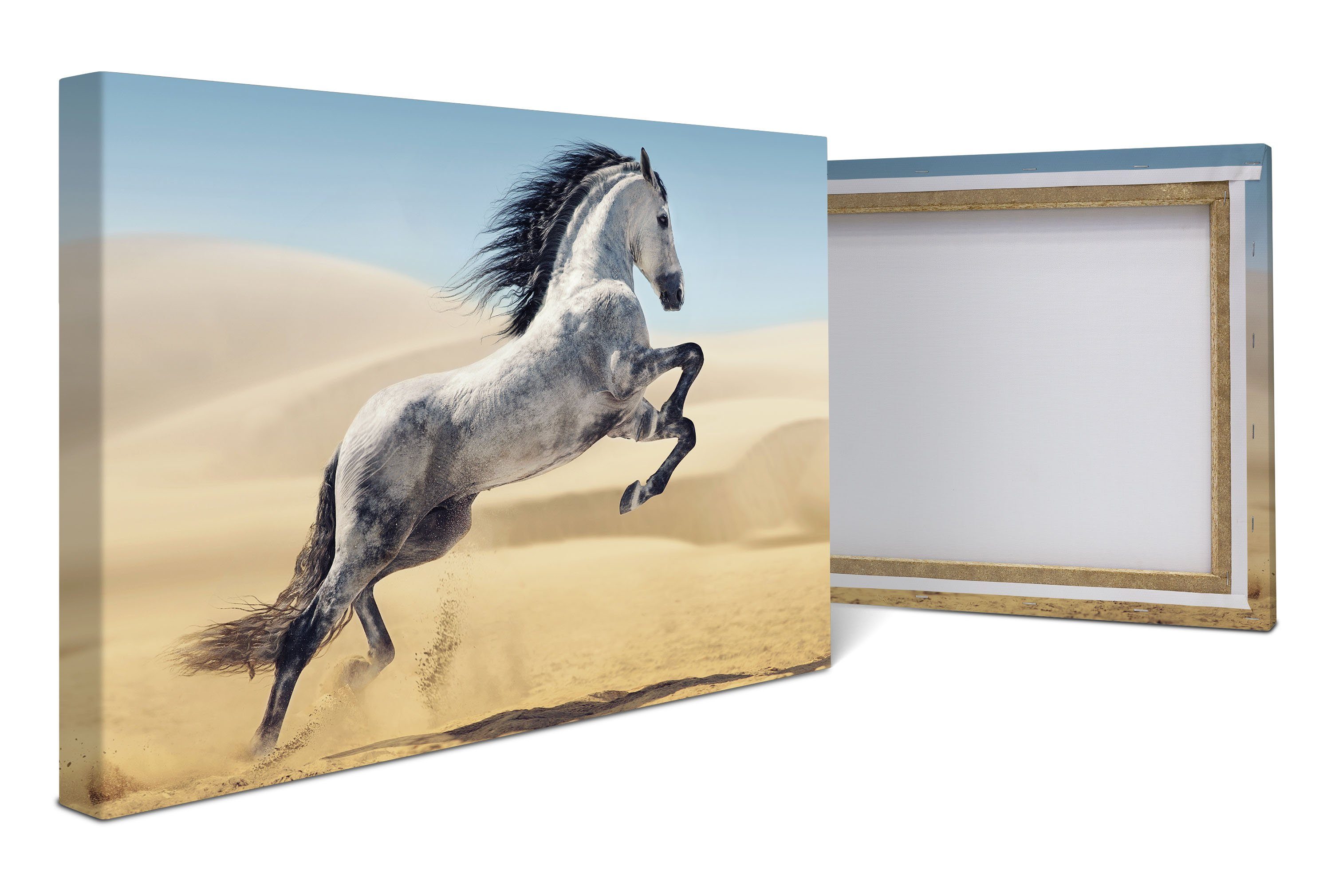 wandmotiv24 Leinwandbild Pferd, weiß, grau, Sand, Wüste, Tiere (1 St), Wandbild, Wanddeko, Leinwandbilder in versch. Größen