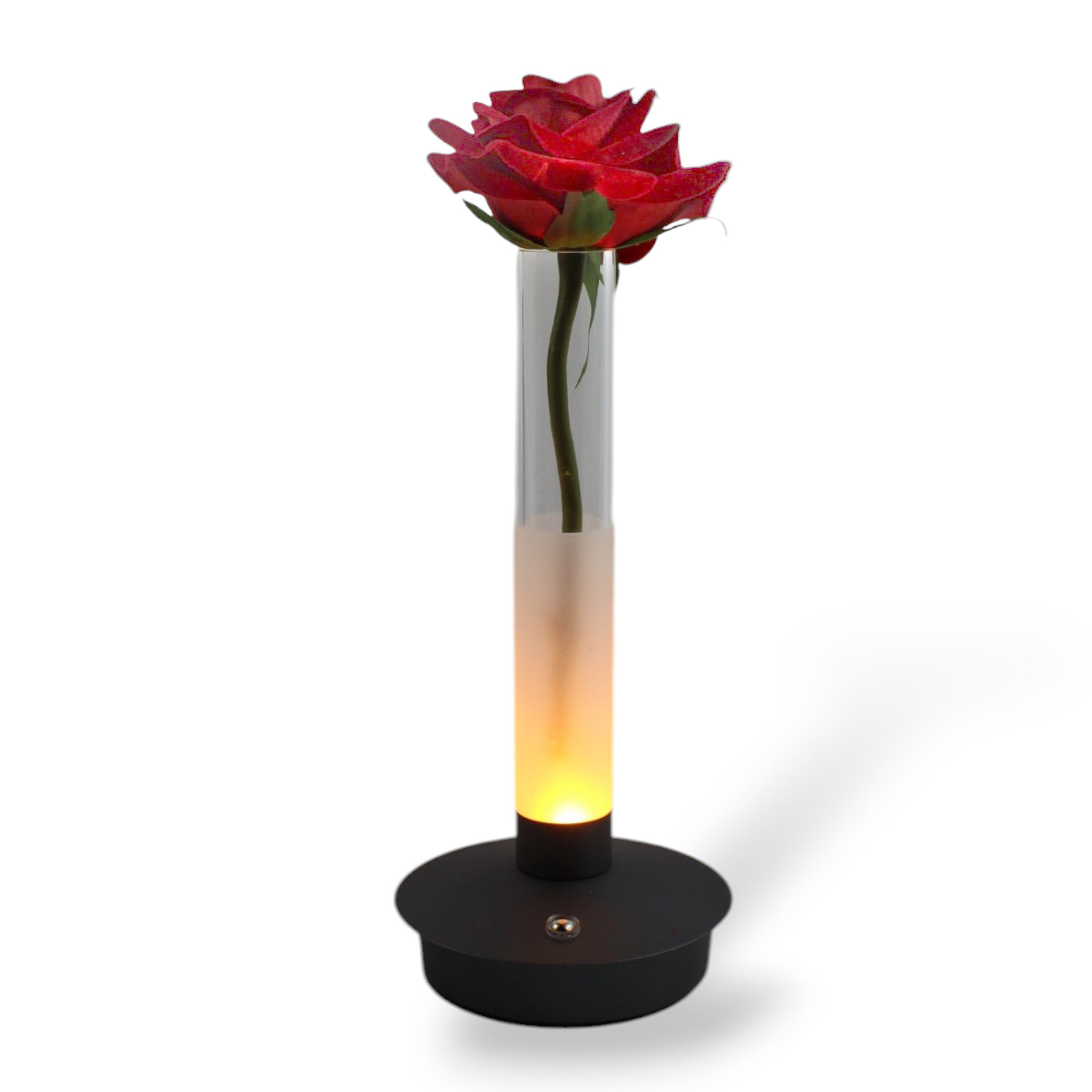 Arnusa Tischleuchte Akku Tischlampe kabellos Vasenlampe Touch dimmbar, Dimmfunktion, LED fest integriert, Tageslichtweiß, Warmweiß, Kaltweiß, Gastronomie Beleuchtung 22,5 cm modern