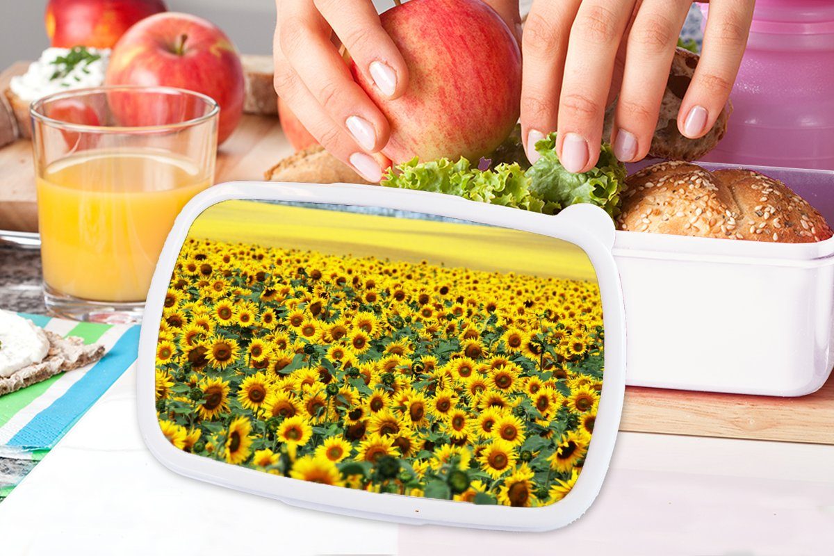 Brotdose, Jungs und und Brotbox MuchoWow Mädchen Erwachsene, Kinder (2-tlg), für Kunststoff, Sonnenblume für Lunchbox Natur, Blumen - weiß -