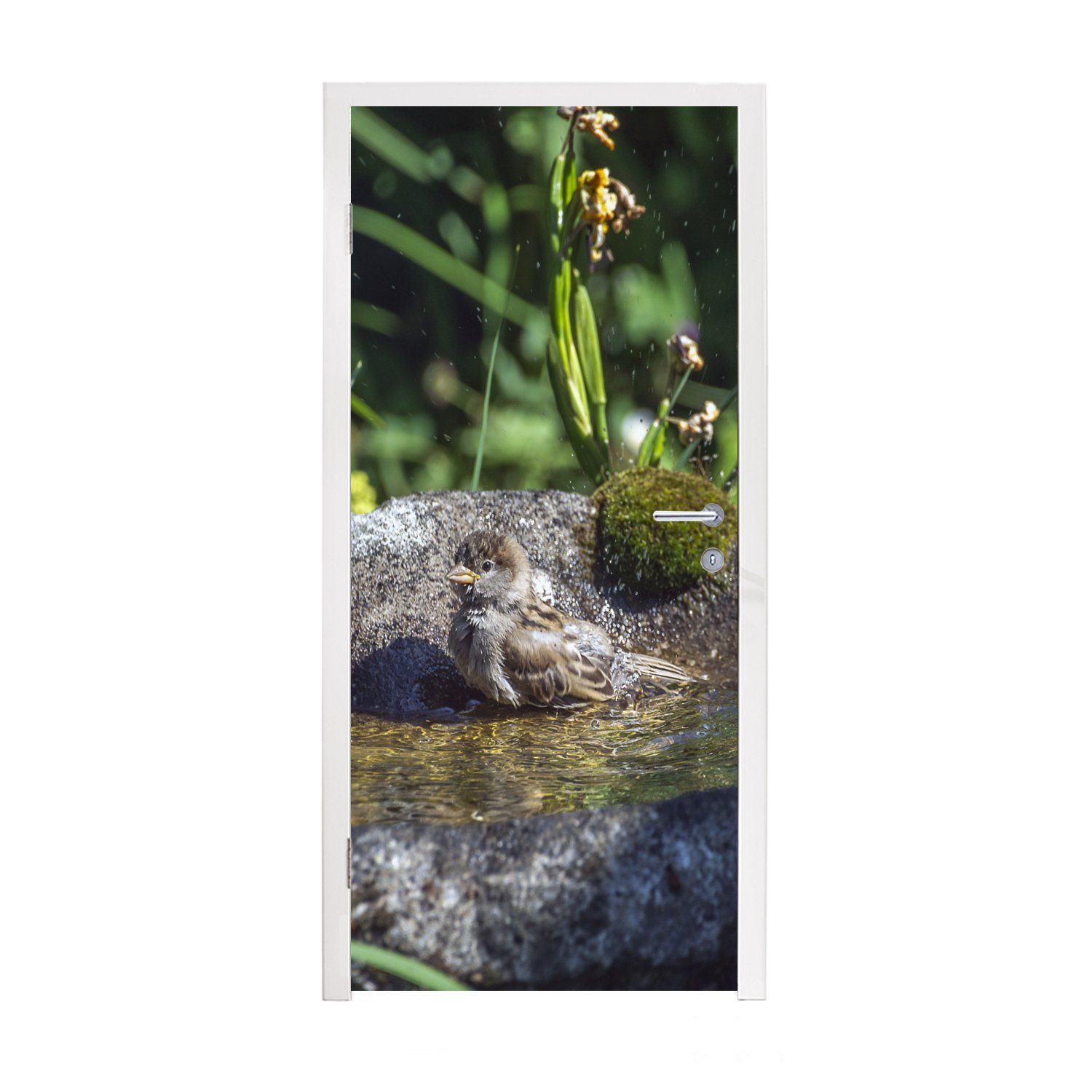 MuchoWow Türtapete Vogeltränke - Spatz - Wasser, Matt, bedruckt, (1 St), Fototapete für Tür, Türaufkleber, 75x205 cm