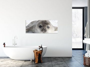Pixxprint Glasbild Süßes Robben Baby, Süßes Robben Baby (1 St), Glasbild aus Echtglas, inkl. Aufhängungen und Abstandshalter
