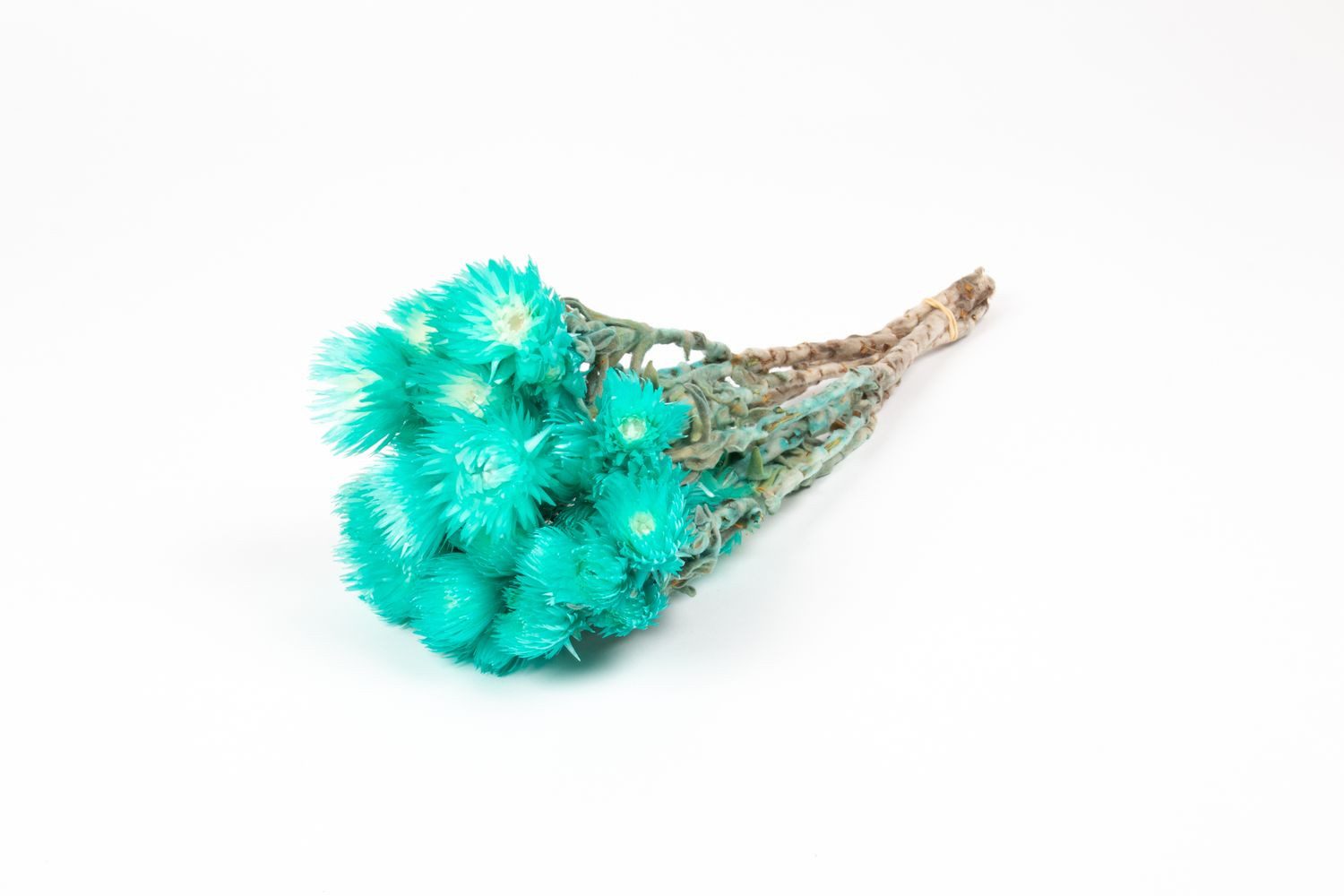 Trockenblume Sonnenblumen Trockenstrauß Bibiana, türkis, 30-40cm, Ø15cm, INNA-Glas, Höhe 40.0 cm