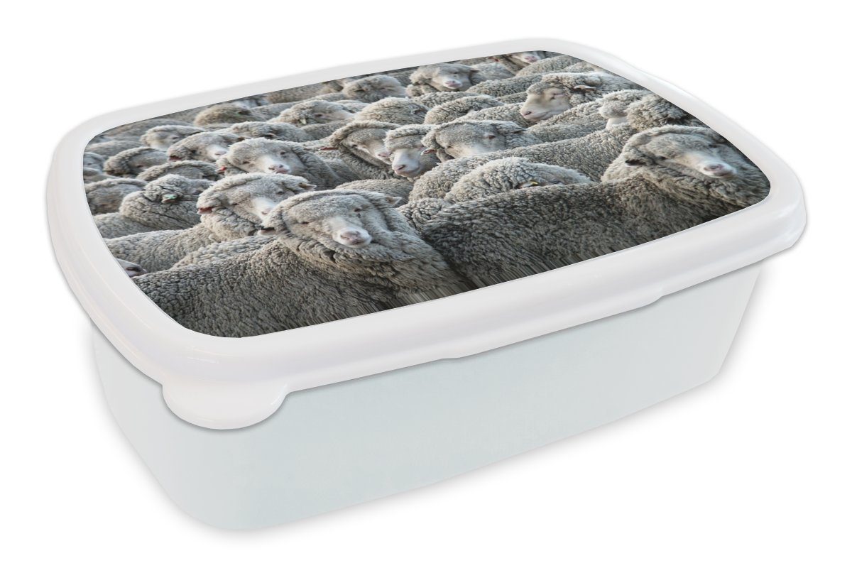 MuchoWow Lunchbox Tiere - Schafe - Schafsfell, Kunststoff, (2-tlg), Brotbox für Kinder und Erwachsene, Brotdose, für Jungs und Mädchen weiß