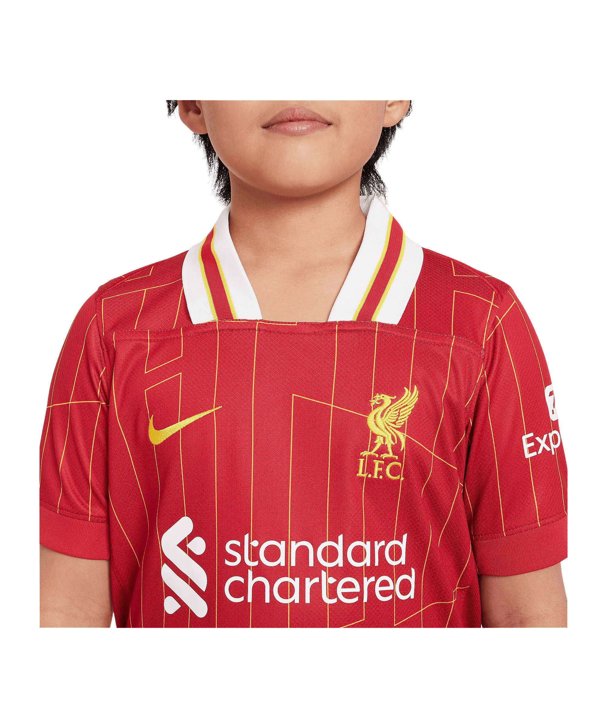 Nike Fußballtrikot Nike Performance Premier League