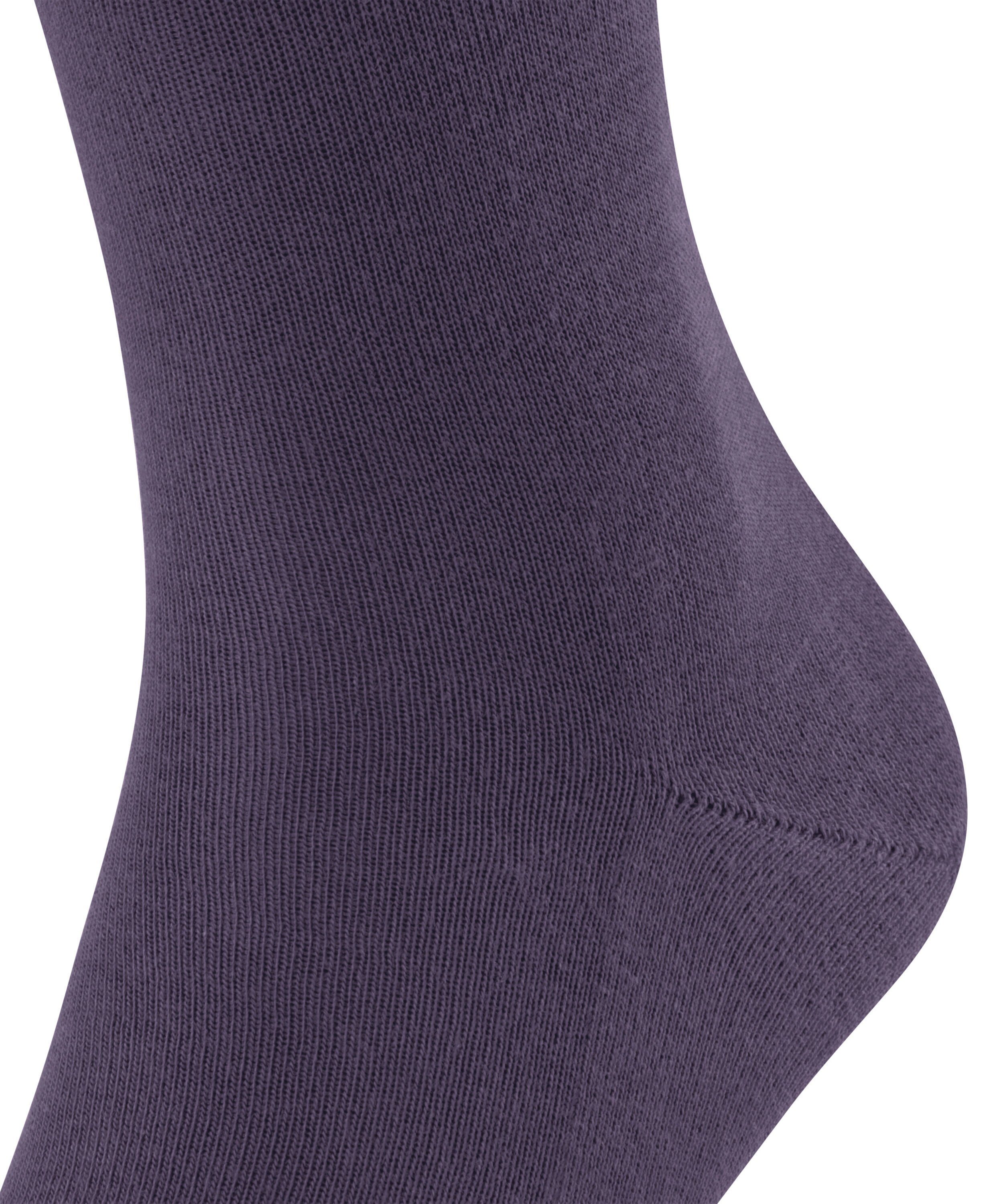 FALKE amethyst (1-Paar) (8635) Family Socken