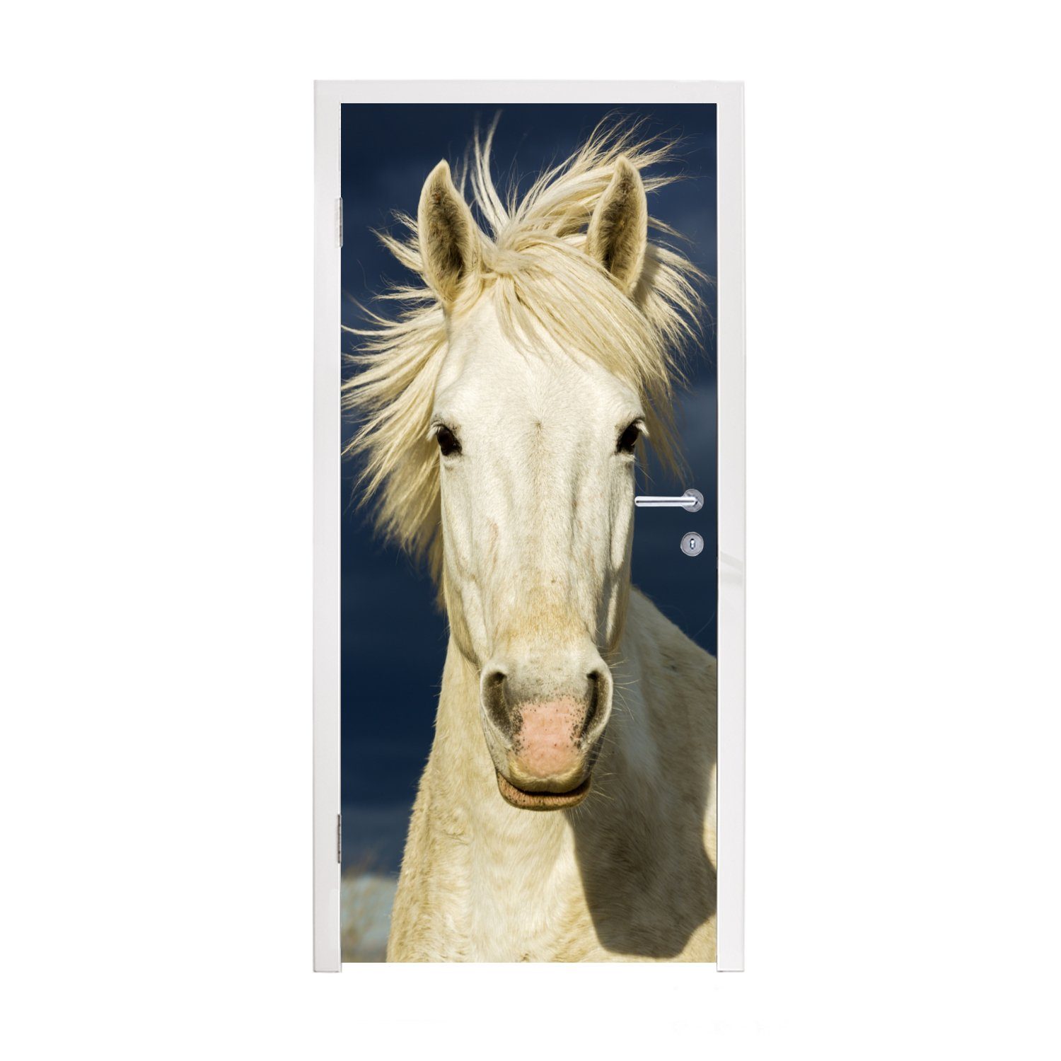 MuchoWow Türtapete Pferd in der Camargue, Matt, bedruckt, (1 St), Fototapete für Tür, Türaufkleber, 75x205 cm