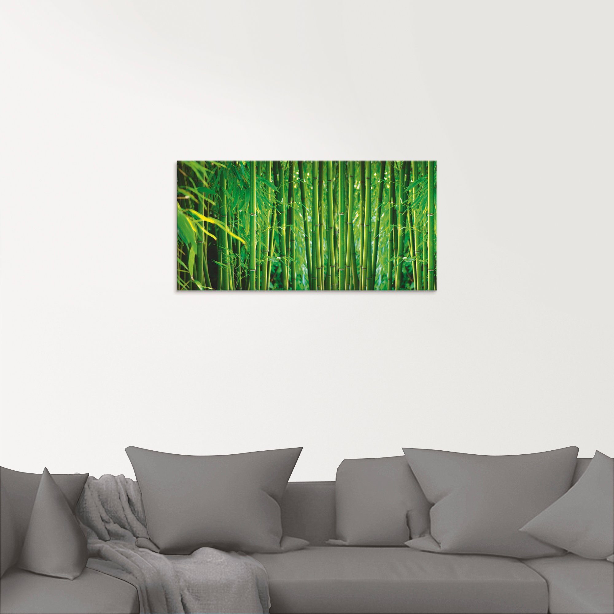 Bambus, in Größen Glasbild Gräser verschiedenen Artland St), (1
