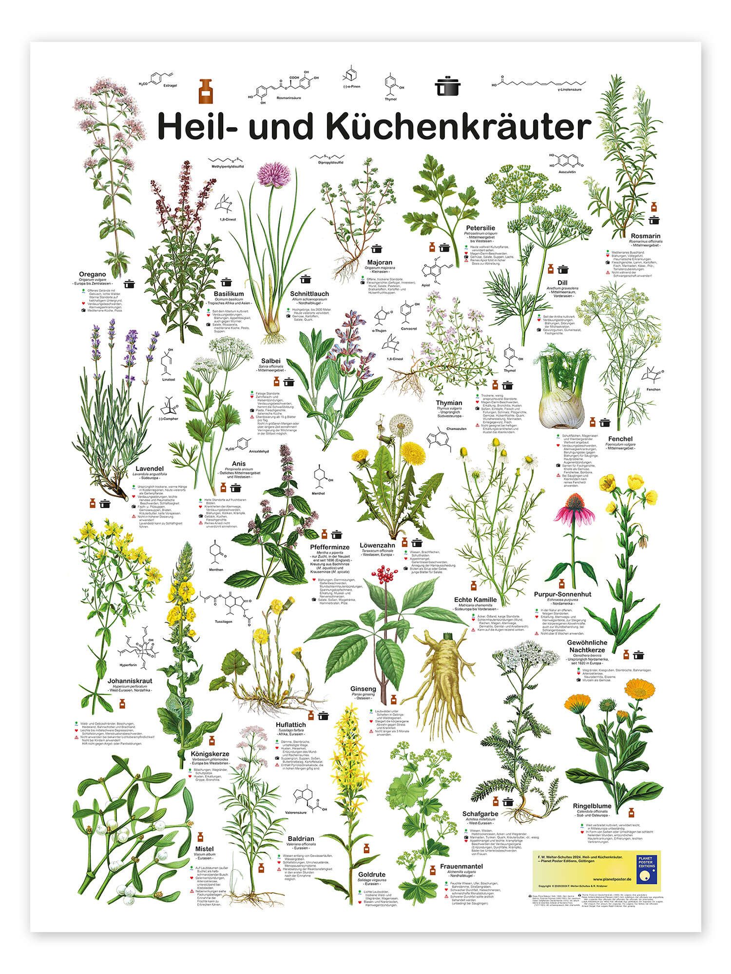 Posterlounge Poster Planet Poster Editions, Heil- günstig online kaufen