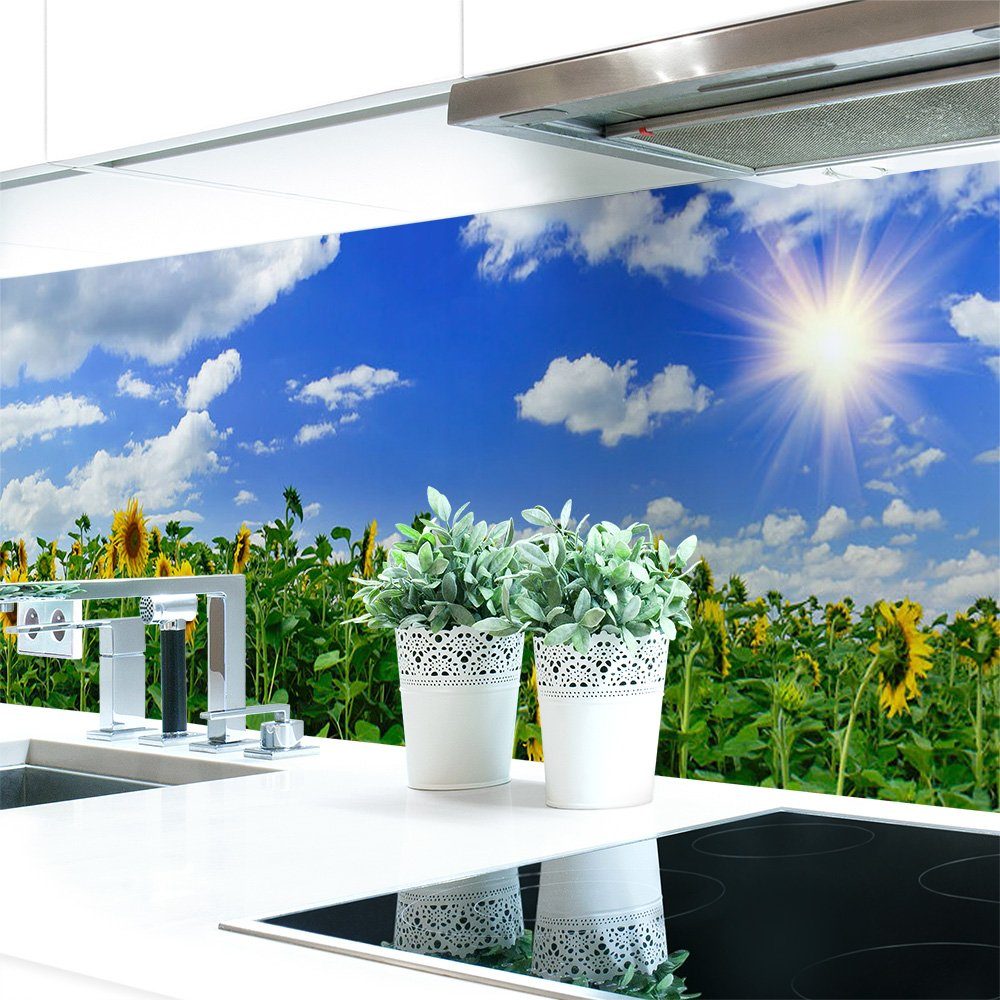 DRUCK-EXPERT Küchenrückwand Küchenrückwand Sonnenblume Premium Hart-PVC 0,4 mm selbstklebend