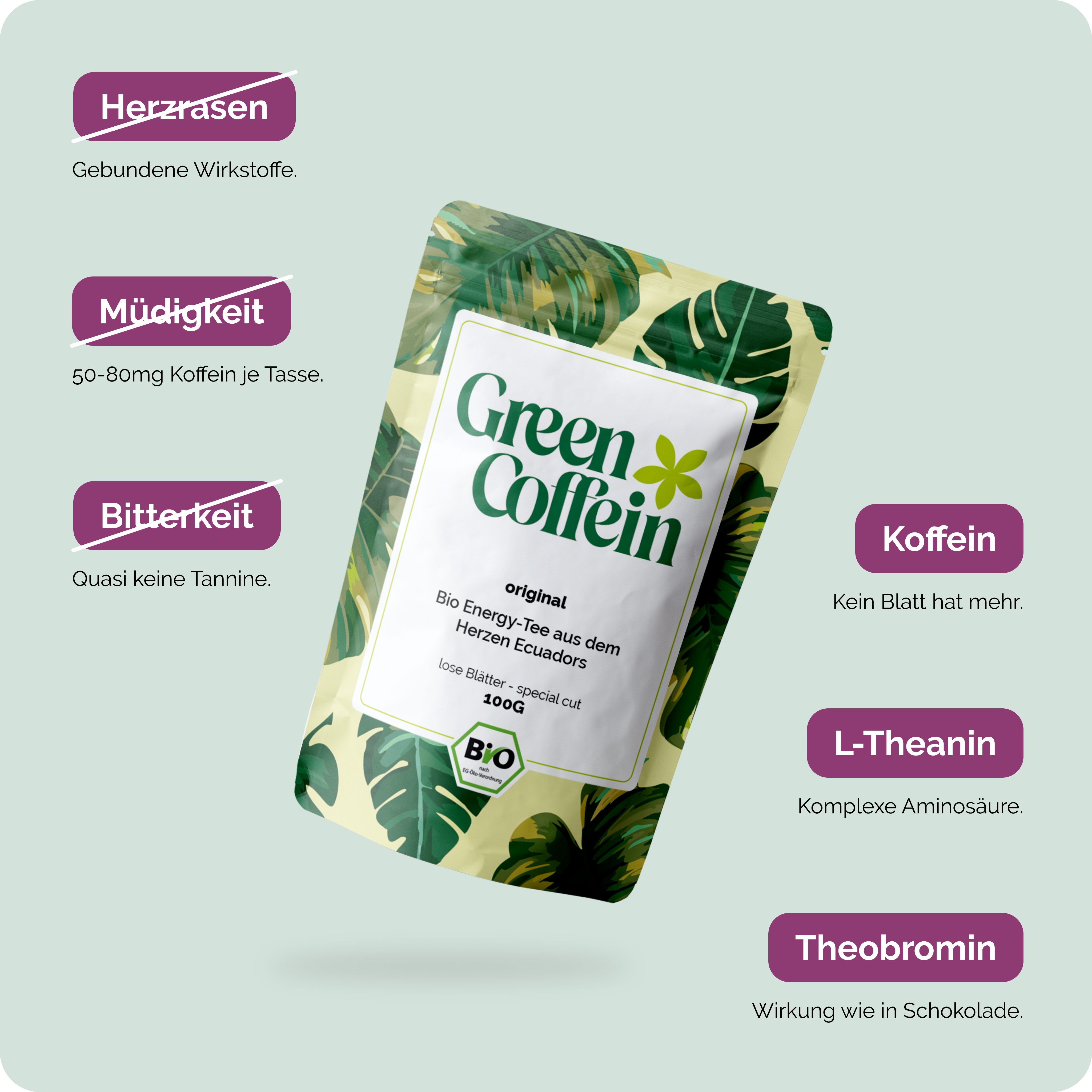 Green Coffein Tee Bio Guayusa Tee – Natürlicher Wachmacher & Fokus (100g oder 500g), 1 x 100 g, 1 St., Fokus ohne Herzrasen oder Nervosität