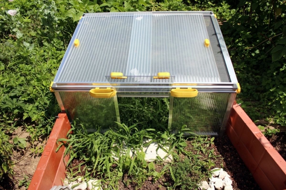 Juwel Freigehege JUWEL Schildkrötenhaus Paula, mit Vogelschutz-Netz, Schiebefenster