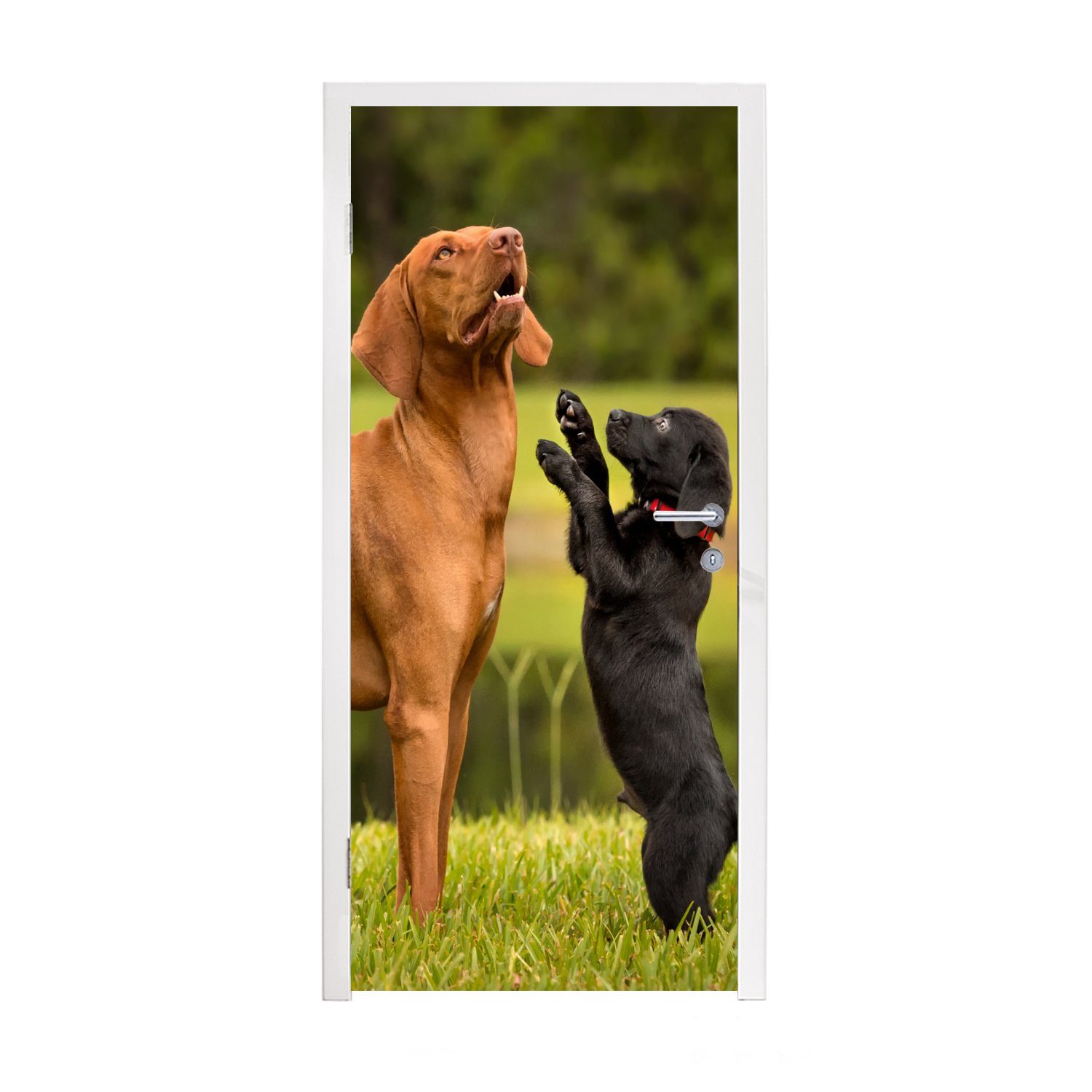 MuchoWow Türtapete Ein Welpe spielt mit einem erwachsenen Hund, Matt, bedruckt, (1 St), Fototapete für Tür, Türaufkleber, 75x205 cm | Türtapeten