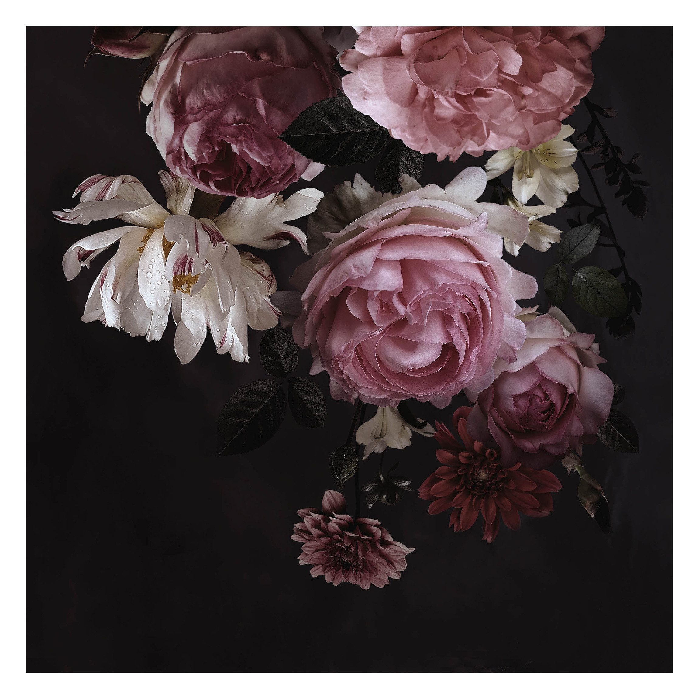 Bilderdepot24 Fototapete Blumen Rosa Blumen Schwarz Blumentapete Floral Nat günstig online kaufen