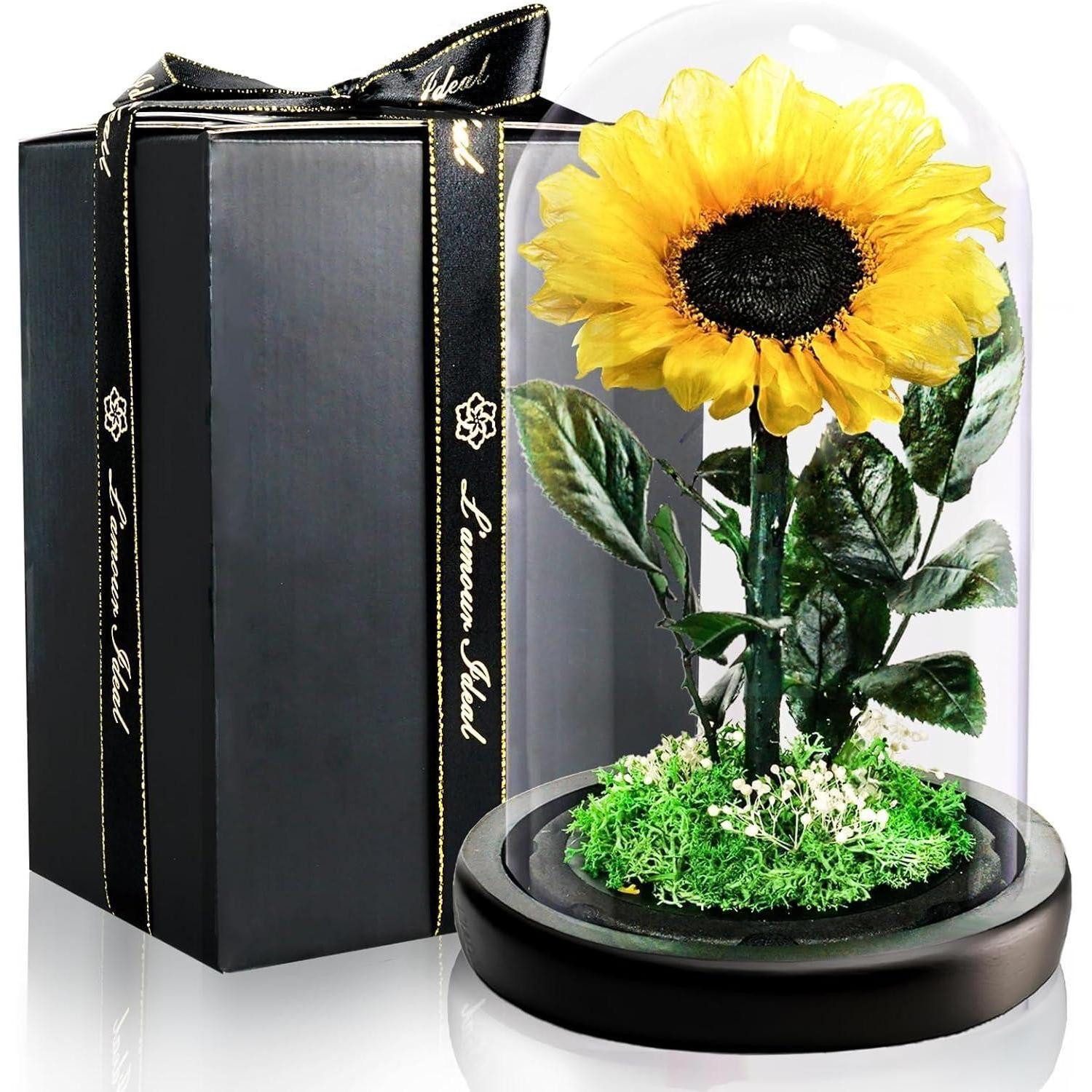 Trockenblume Sonnenblume Konservierte Glas Geschenk Muttertag Sonnenblume-gelb, LuxusKollektion