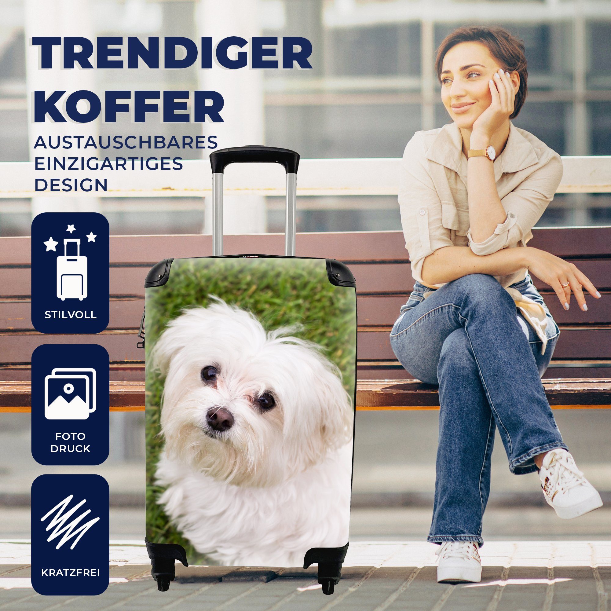 Trolley, Reisekoffer Handgepäck Reisetasche Handgepäckkoffer Malteserhund mit rollen, Rollen, schaut 4 für MuchoWow auf, Ferien,