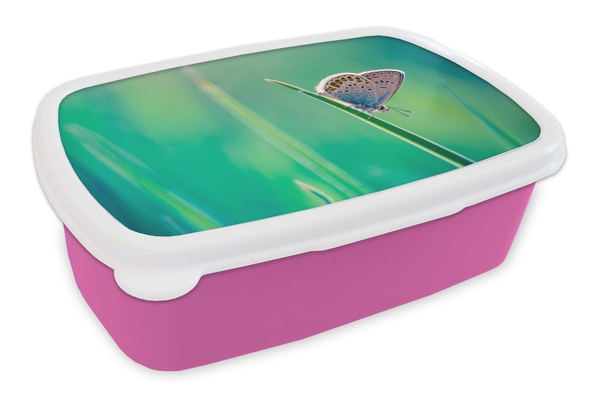 Gras Brotbox für - Erwachsene, Kinder, - (2-tlg), MuchoWow Schmetterling Mädchen, Lila, Kunststoff Brotdose Kunststoff, Lunchbox rosa Snackbox,