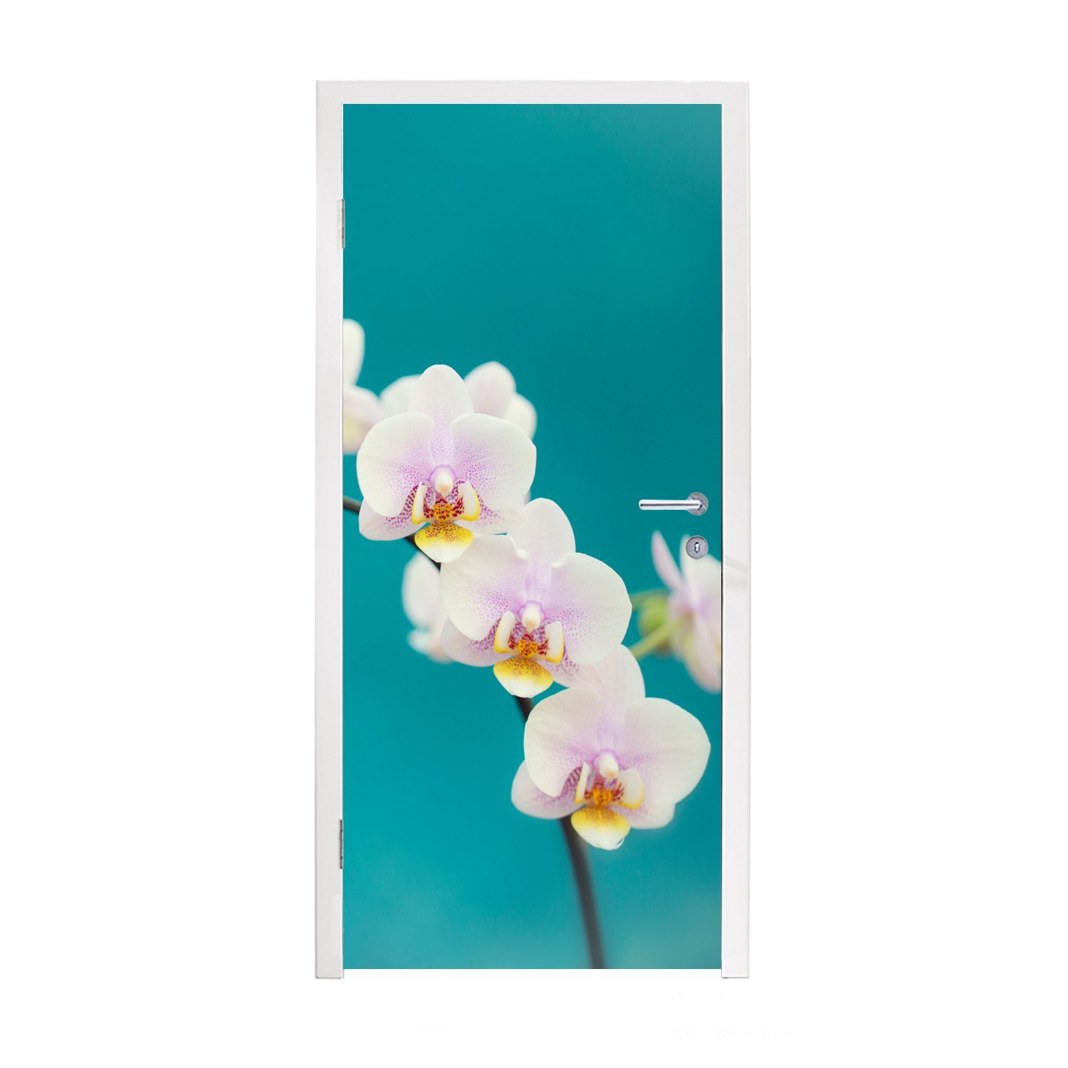 Orchidee Türaufkleber, Matt, Pflanze Blumen - Tür, Weiß - - 75x205 cm Fototapete St), Lila, - MuchoWow Türtapete bedruckt, (1 für