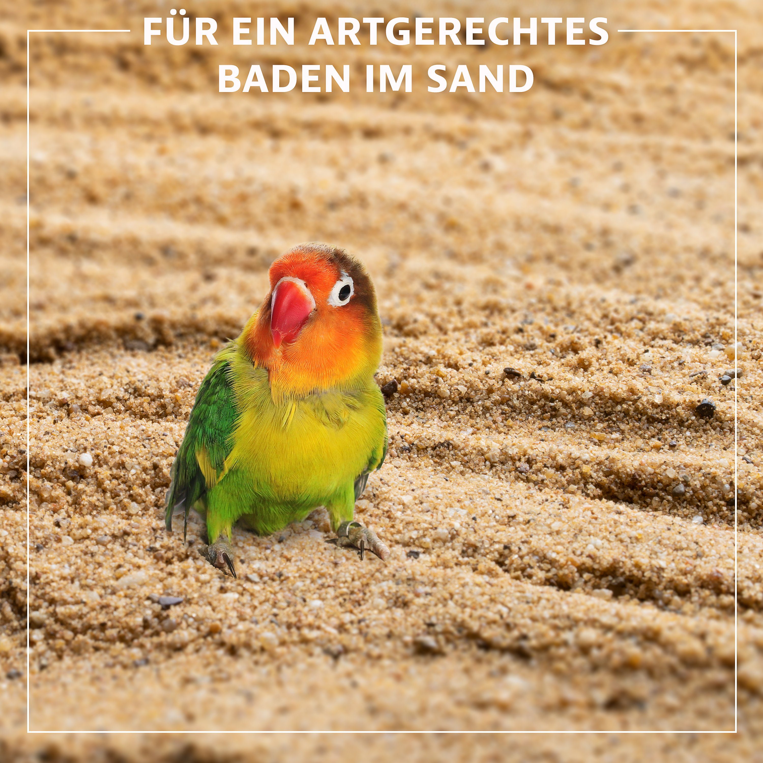 ELMATO Vogelsand Elmato 13750 Spezial Buddelsand für Singvögel 5kg