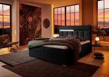 ATLANTIC home collection Boxbett Tessa, mit LED-Beleuchtung und Bettkasten