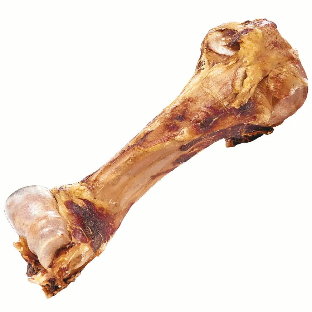 Schecker Schecker Kauknochen Dino-Knochen 30-50 cm - Rinderknochen, für: Hunde