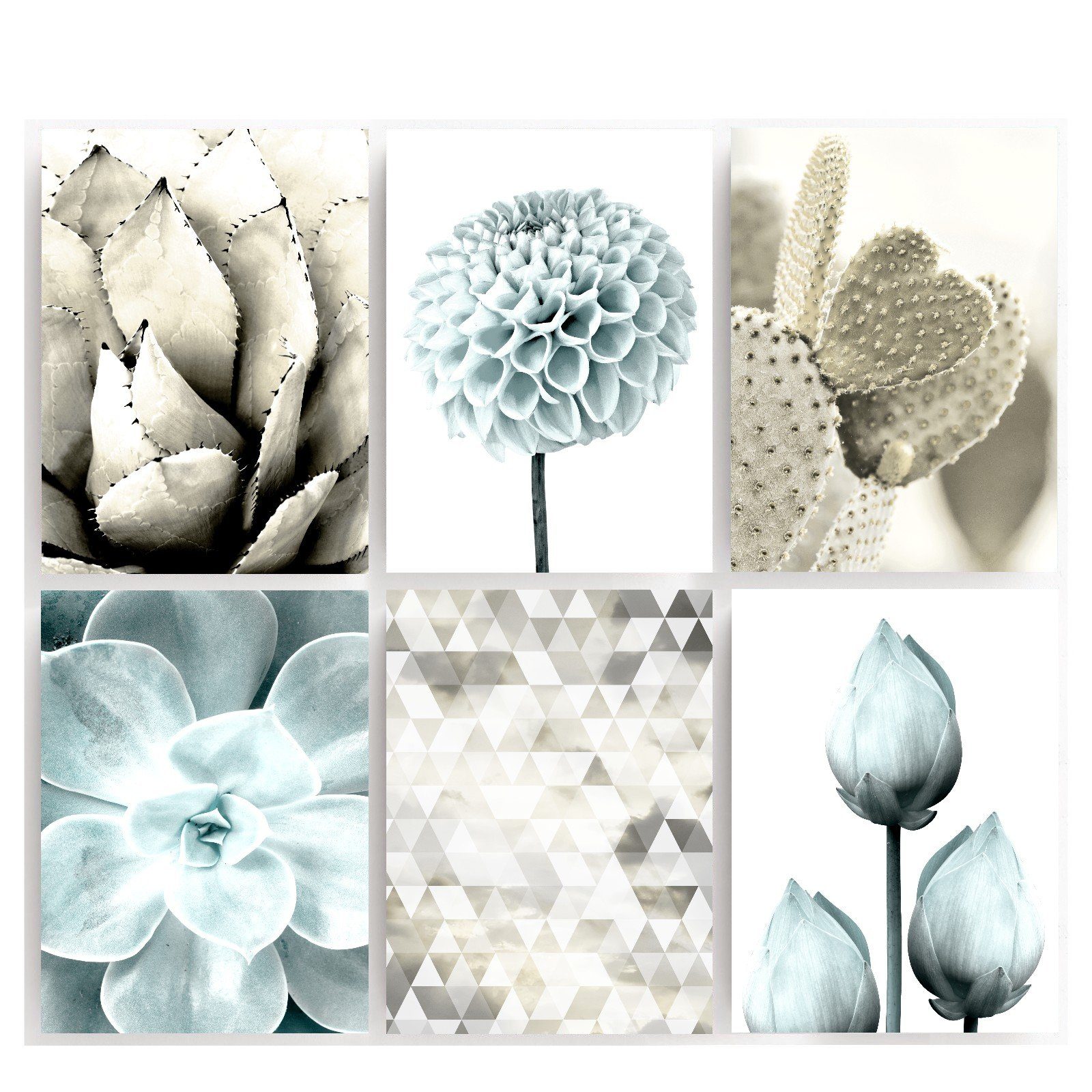 homestyle-accessoires Poster Bilderset Wandbilder Bilder FLOWERS SUCCULENTS BEIGE TÜRKIS 6er SET, - Ohne Bilderrahmen - sorgfältige & sichere Verpackung. € 29,95