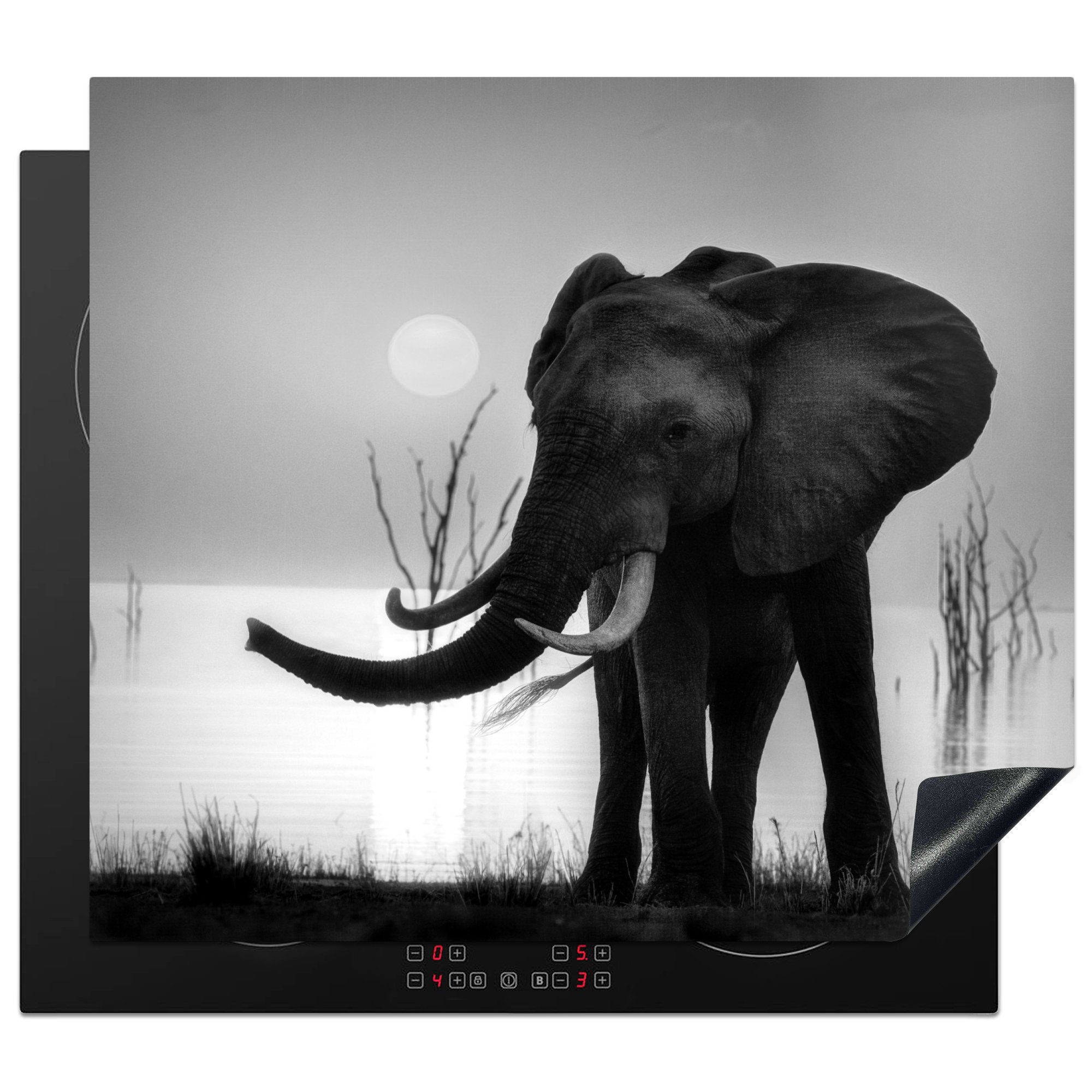 MuchoWow Herdblende-/Abdeckplatte Elefant bei Sonnenuntergang - schwarz und weiß, Vinyl, (1 tlg), 60x52 cm, Mobile Arbeitsfläche nutzbar, Ceranfeldabdeckung