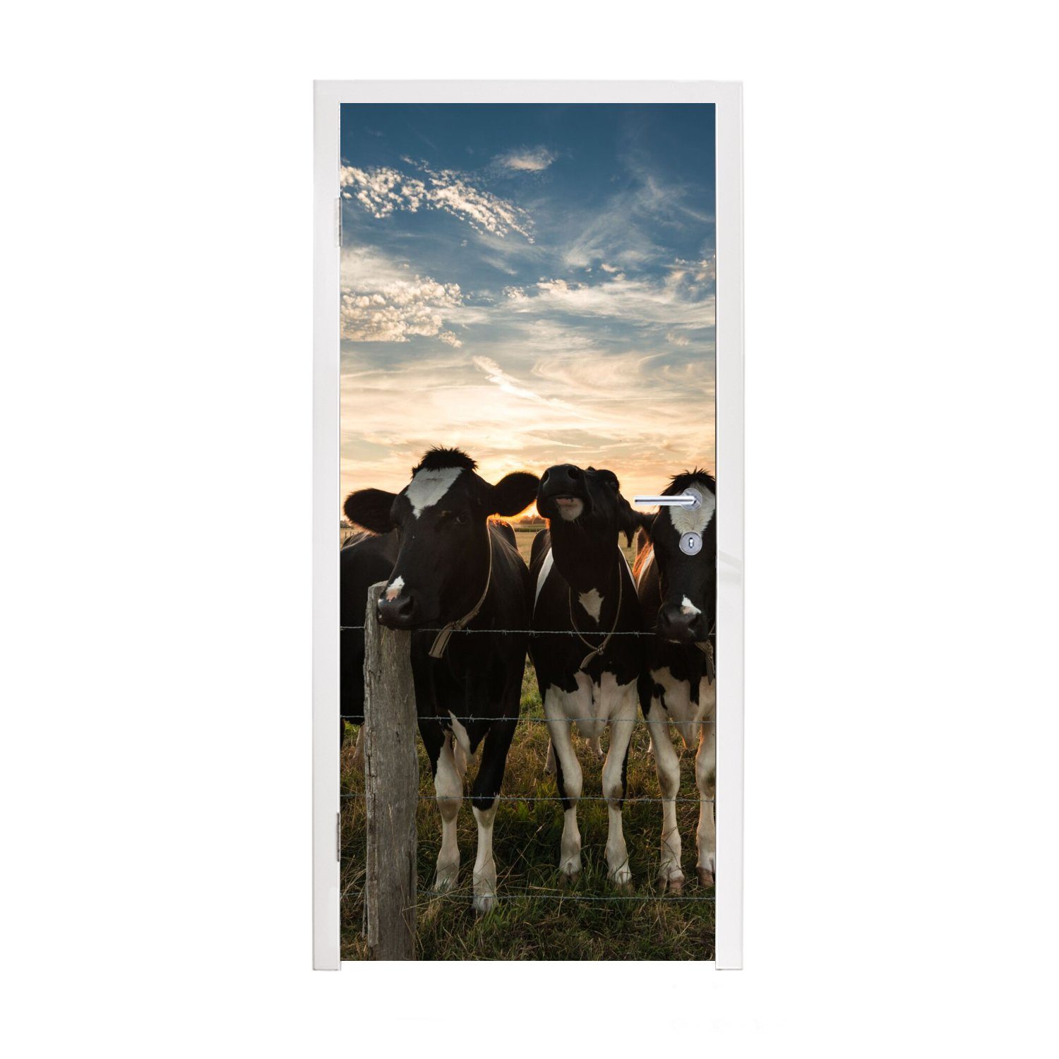 Türtapete Tiere Kuh, (1 cm Fototapete für St), Türaufkleber, - Matt, MuchoWow Tür, bedruckt, 75x205