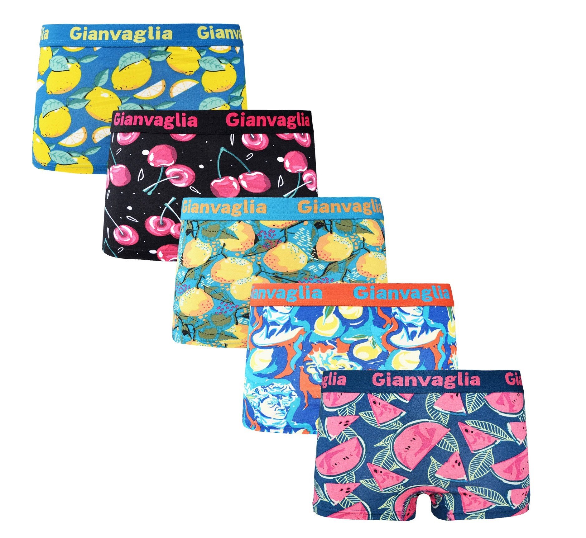 Holland Underwear Boxershorts 5er Pack Deluxe Damen Boxershort Slips Panty günstig online kaufen