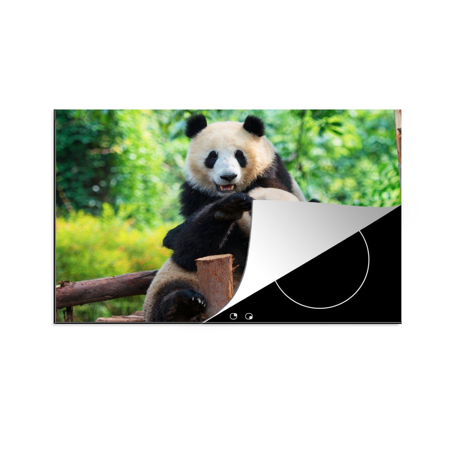 MuchoWow Herdblende-/Abdeckplatte Panda - Brücke - Natur, Vinyl, (1 tlg), 81x52 cm, Induktionskochfeld Schutz für die küche, Ceranfeldabdeckung