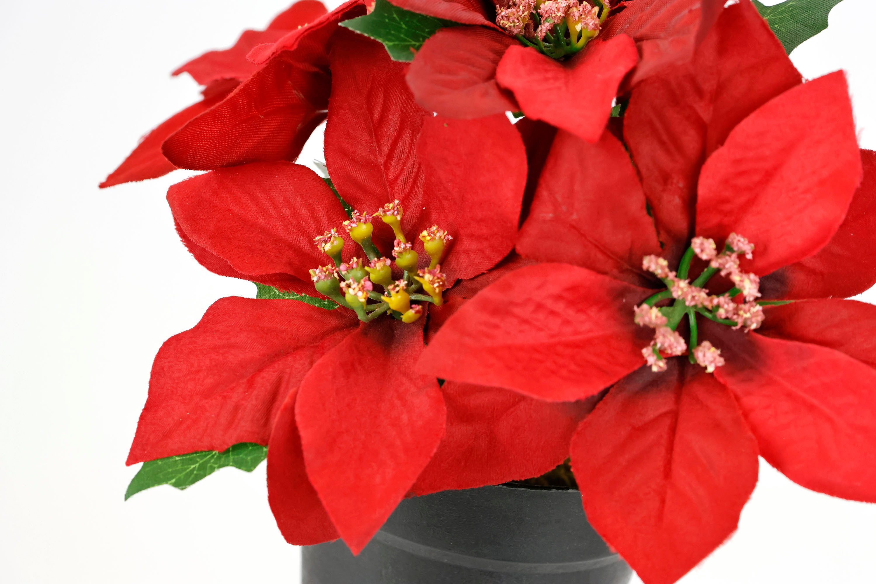 Kunstblume Poinsettia im Topf Christstern, I.GE.A., Höhe 17 cm, 2er Set Künstliche Blume Weihnachtsstern Christstern Weihnachtsdeko