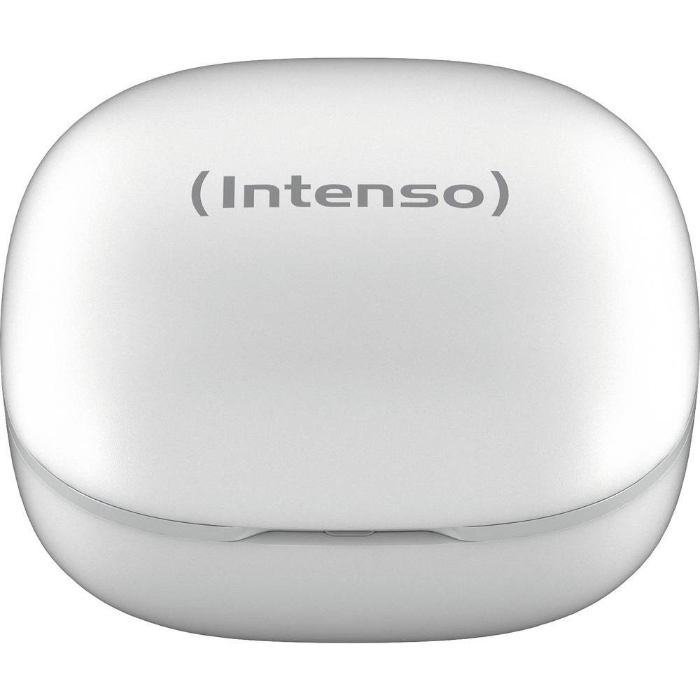 Intenso In Ear Kopfhörer 3720502 Kopfhörer (Wasserabweisend)