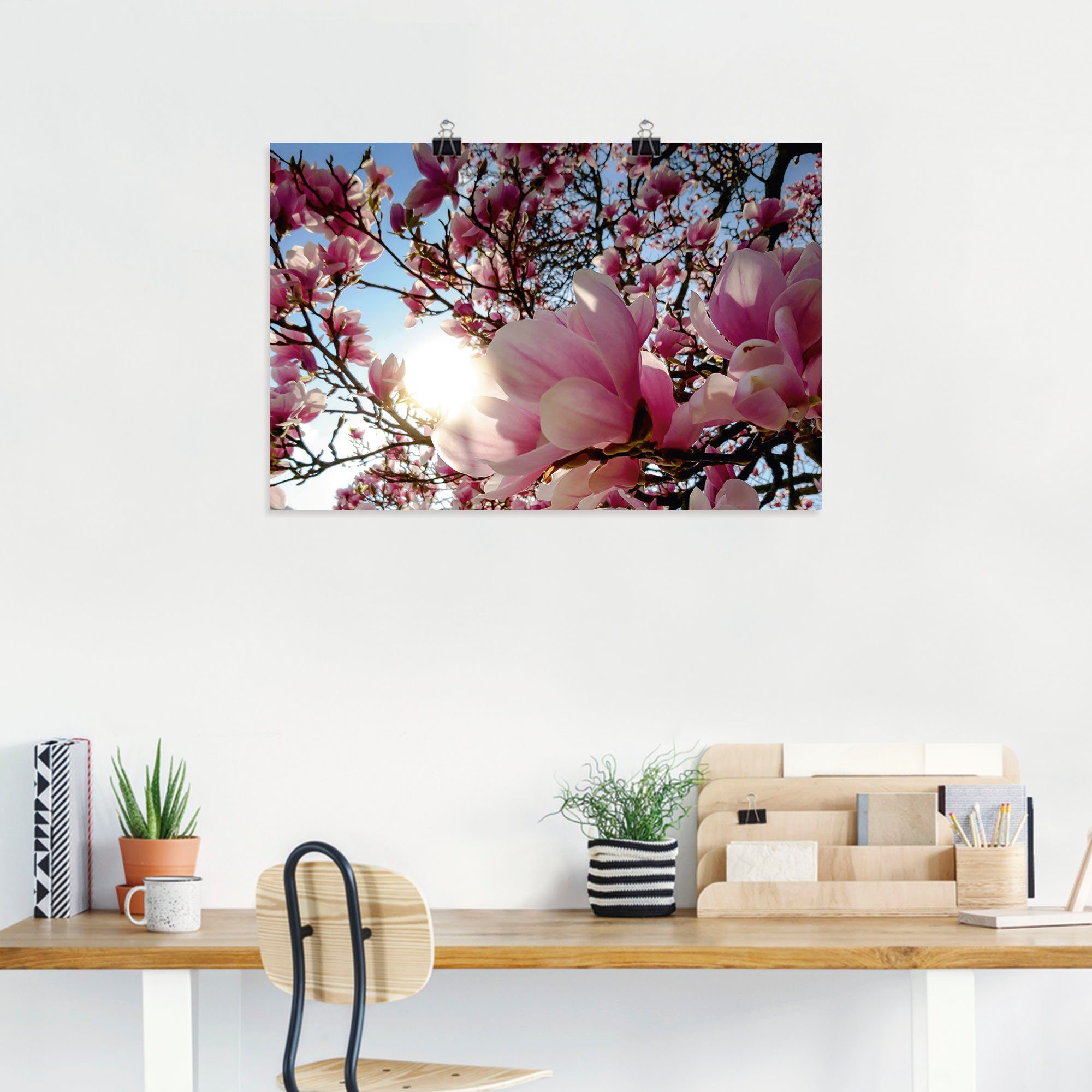 (1 Baumbilder Artland Wandbild Sonnenschein, Magnolienbaum St), als versch. oder im Poster Alubild, Wandaufkleber in Größen Leinwandbild,
