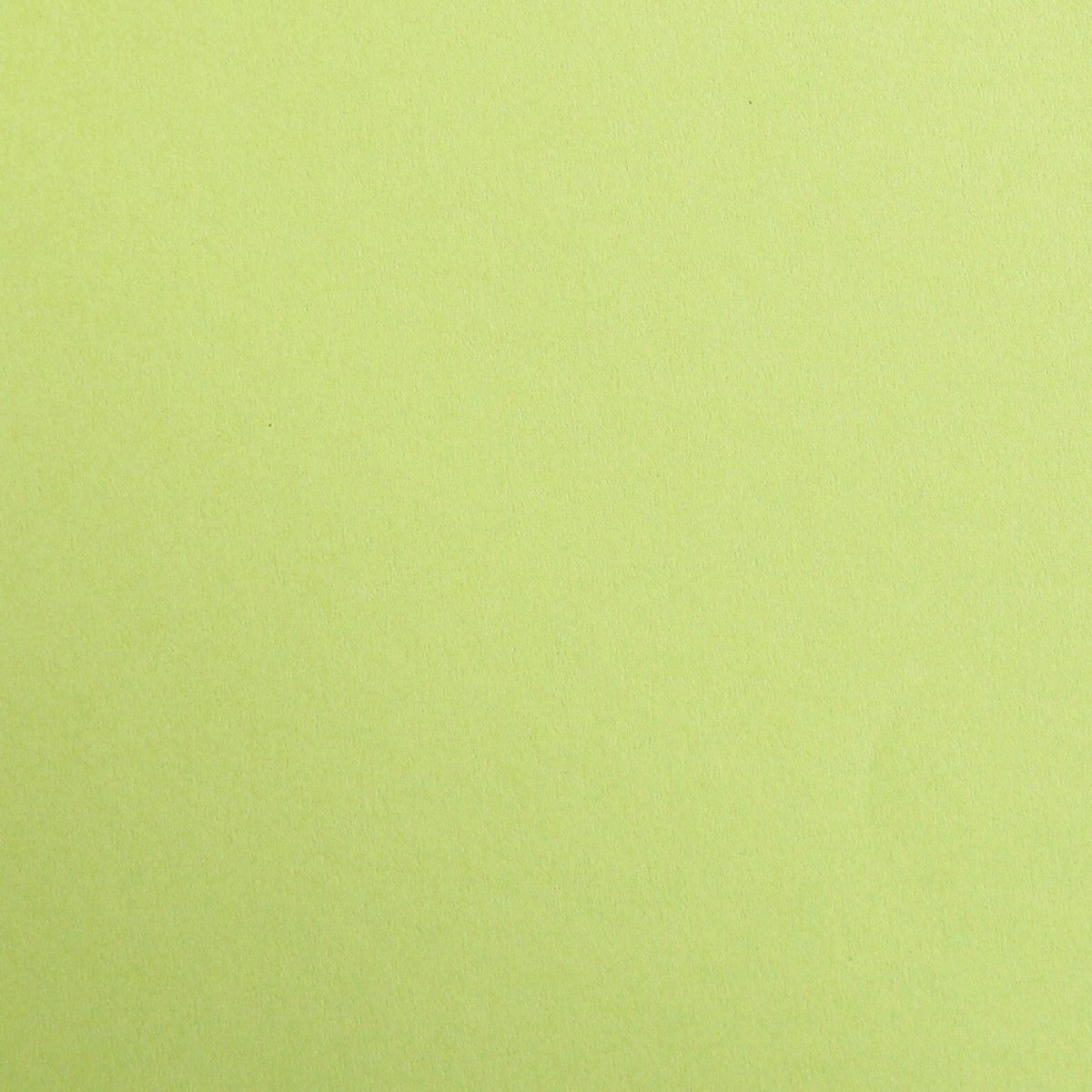 CLAIREFONTAINE Bastelkartonpapier Bastelkarton Maya 185g/qm A3 VE=25 Blatt moosgrün