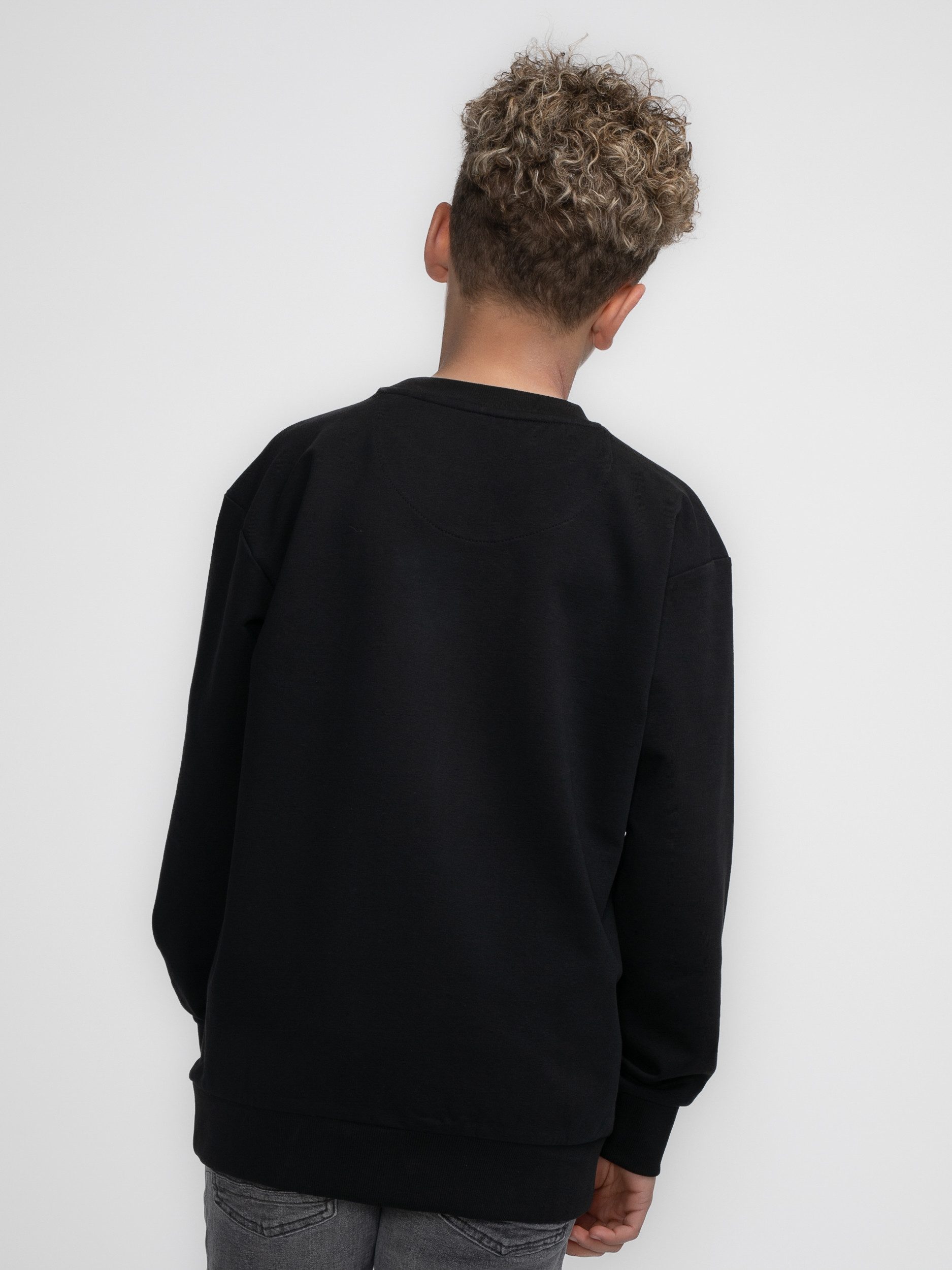 Petrol Industries Sweater mit Prägung auf günstig online kaufen