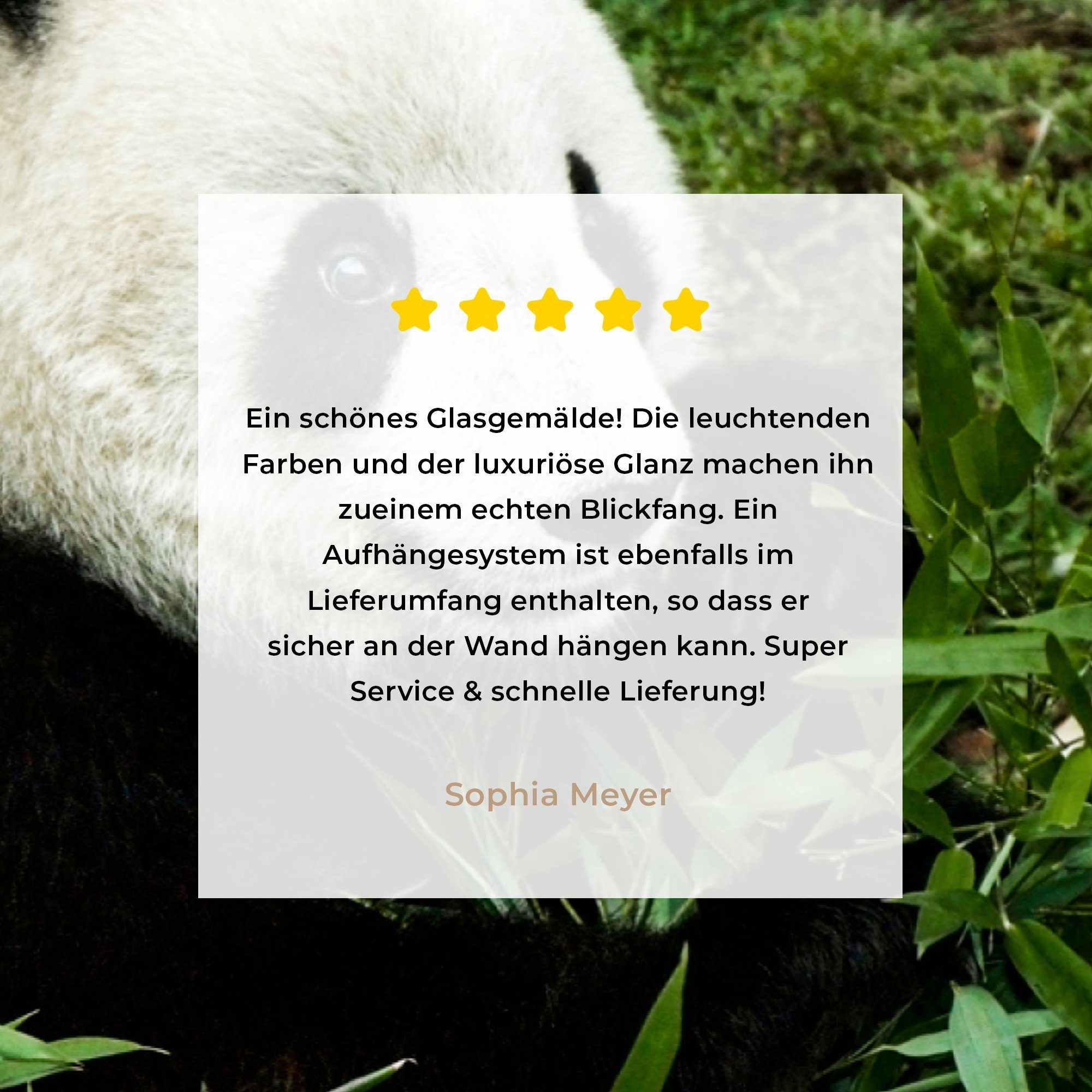 Panda Acrylglasbilder Pflanze, - Wohnzimmer St), MuchoWow & Bambus - Acrylglasbild (1 Schlafzimmer