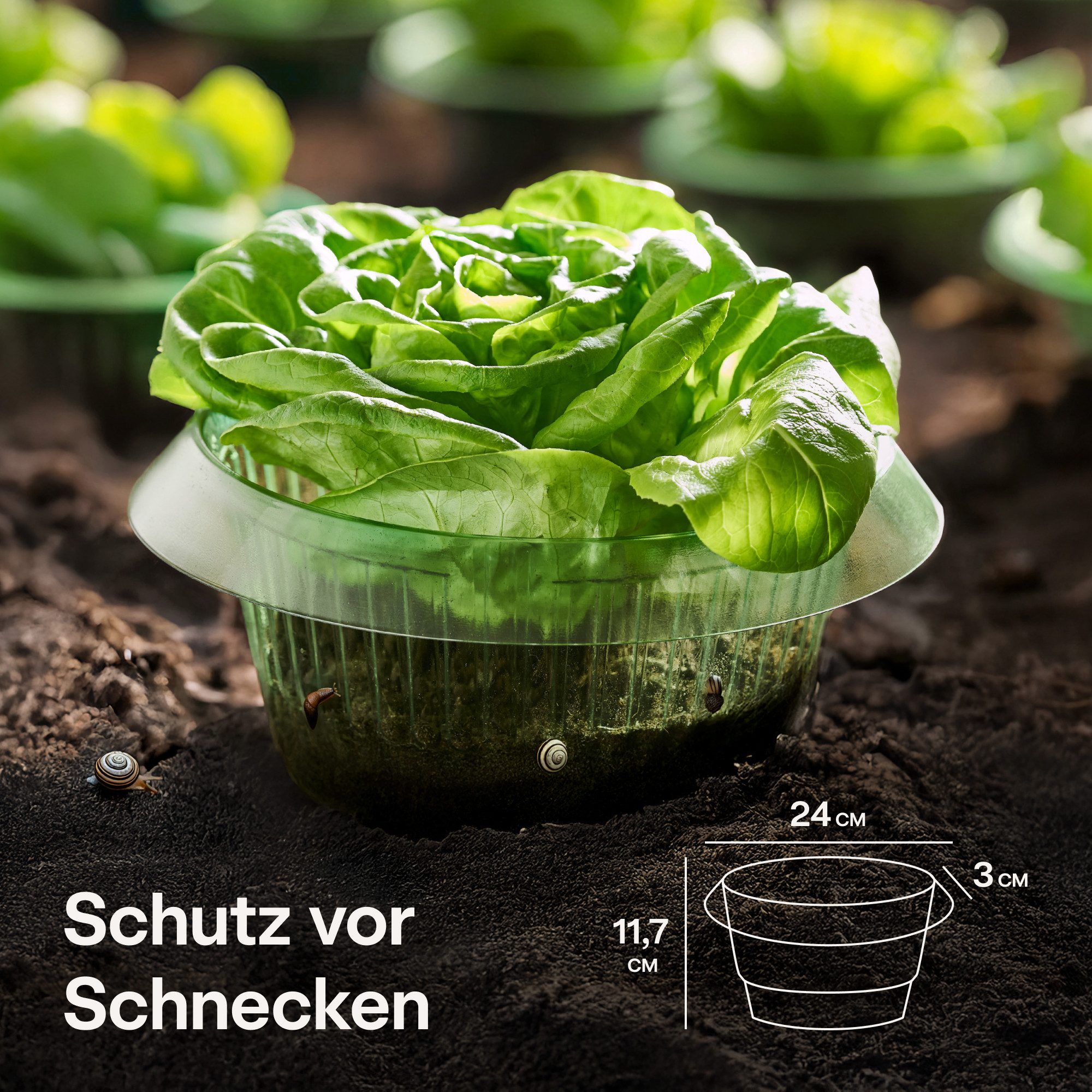 Praknu Schneckenzaun Schneckenkragen 10 Stück - Wiederverwendbarer Schneckenschutz, 10-teiliges Set, 10-St., Schneckensperre – Schneckenring – Schneckenabwehr – Schneckenstopp