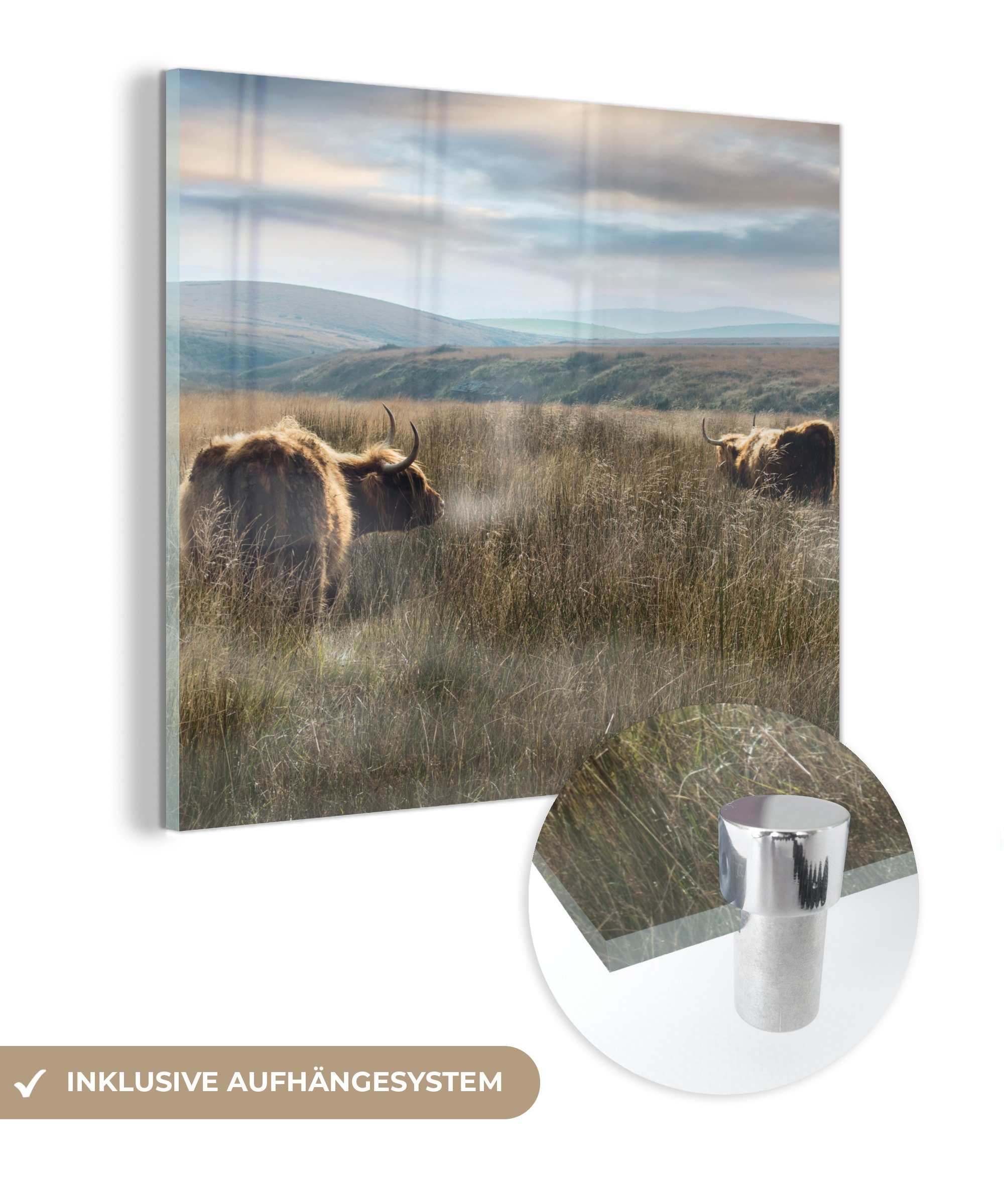 (1 - Glasbilder Wanddekoration Wandbild Gras, - Schottische - Glas - Foto MuchoWow Acrylglasbild Glas Nebel - Bilder St), auf Highlander auf