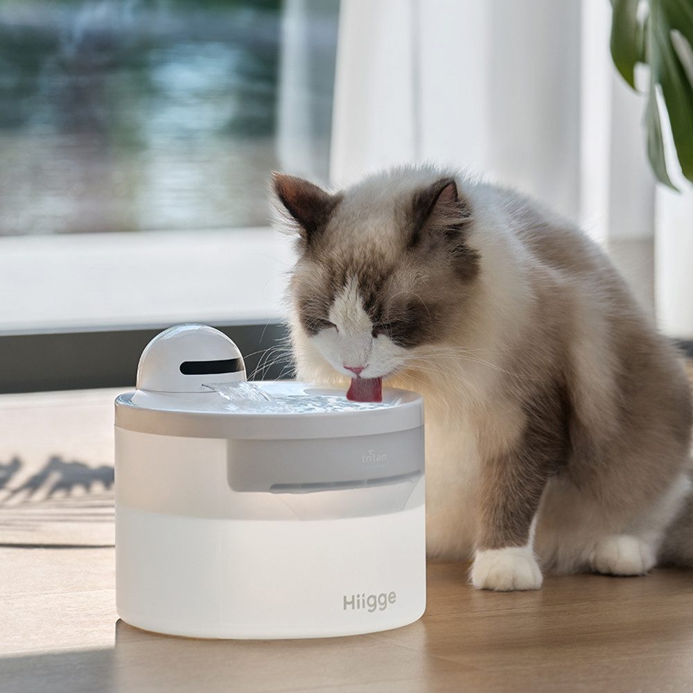 Hiigge Trinkbrunnen Snowball für Katze 2.3 günstig online kaufen